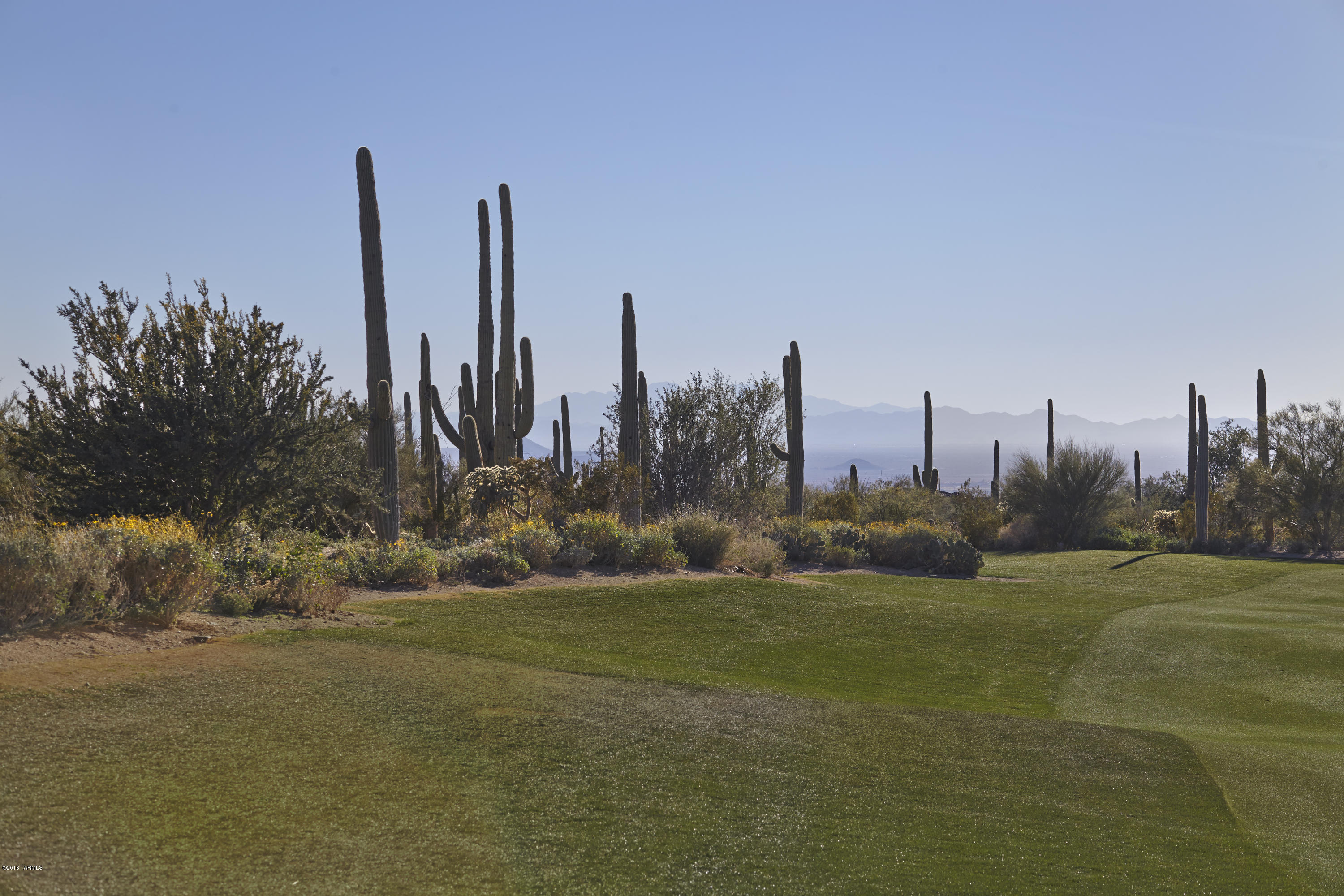 Dove Mountain Resort (1-153) - Residential