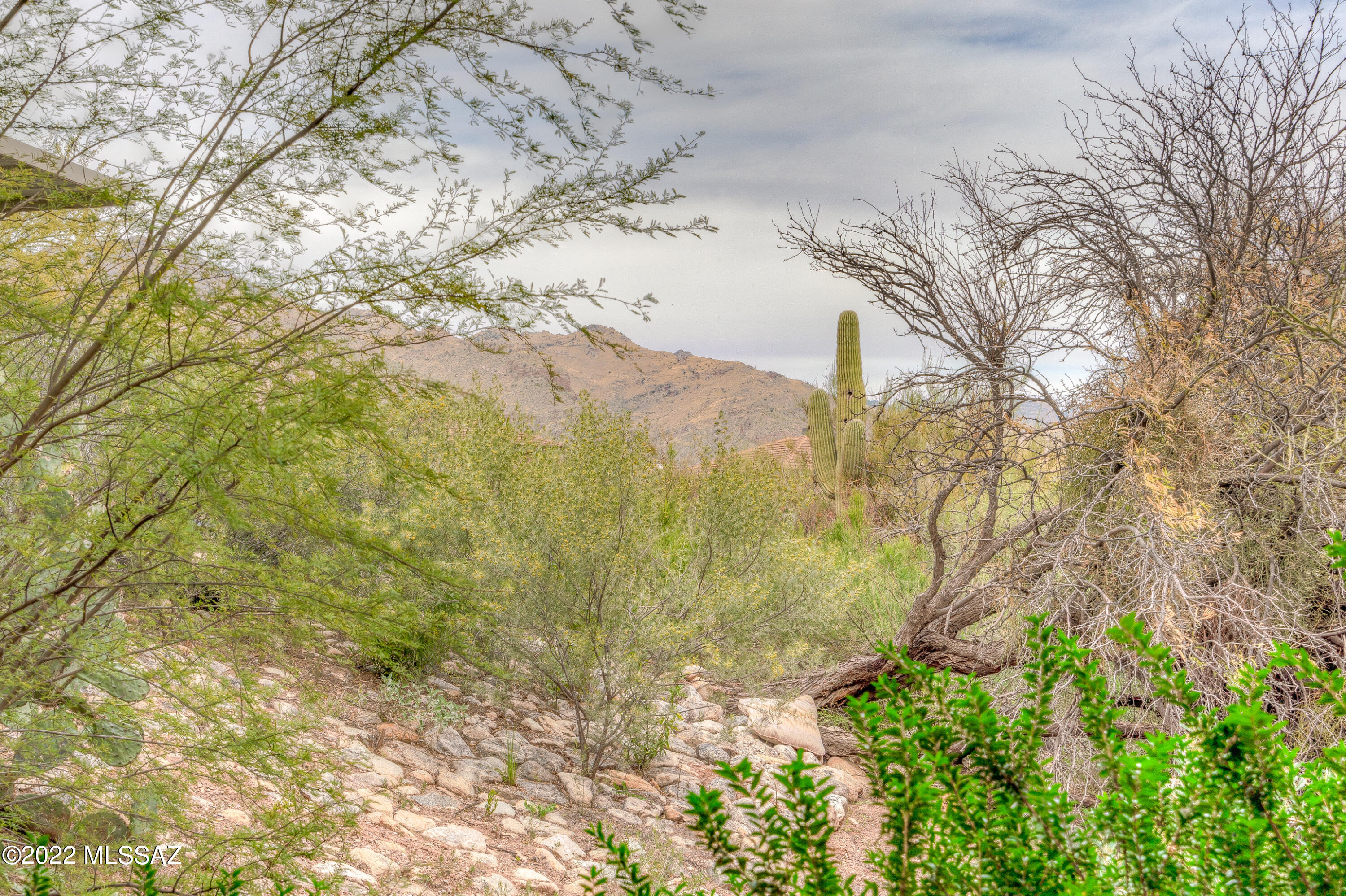 Greens at Ventana Canyon - Residential