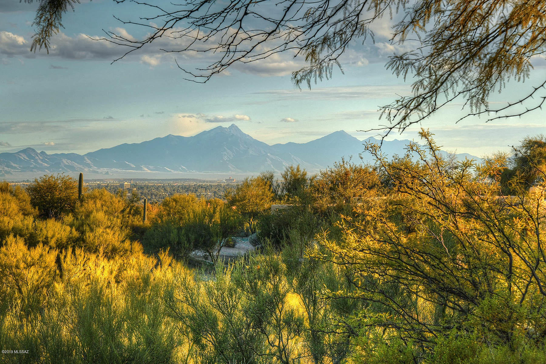 Catalina Foothills Est. NO. 10 (73-90, 119, 121, 123, 127-146) - Residential