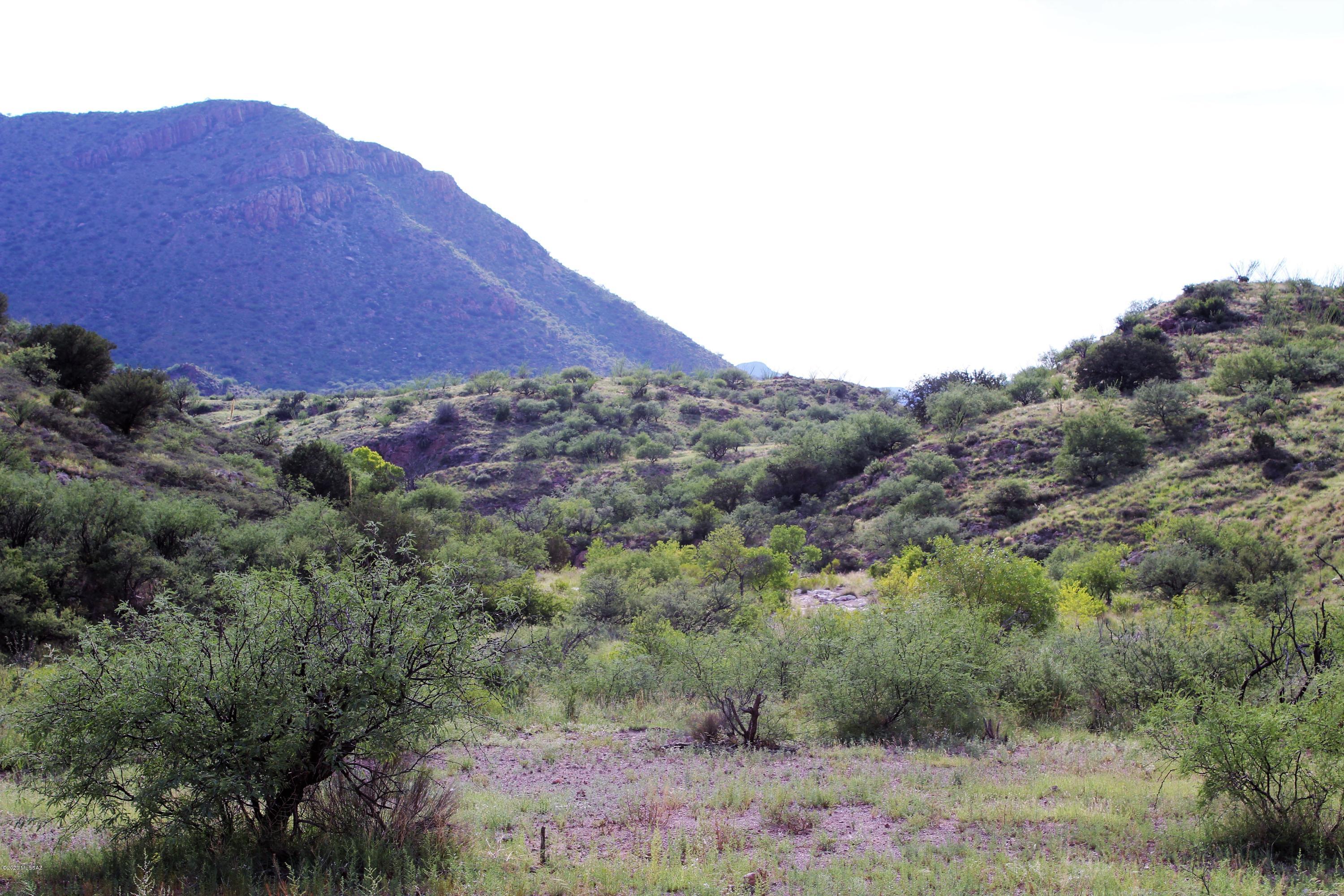 Morning Star Ranch - Land