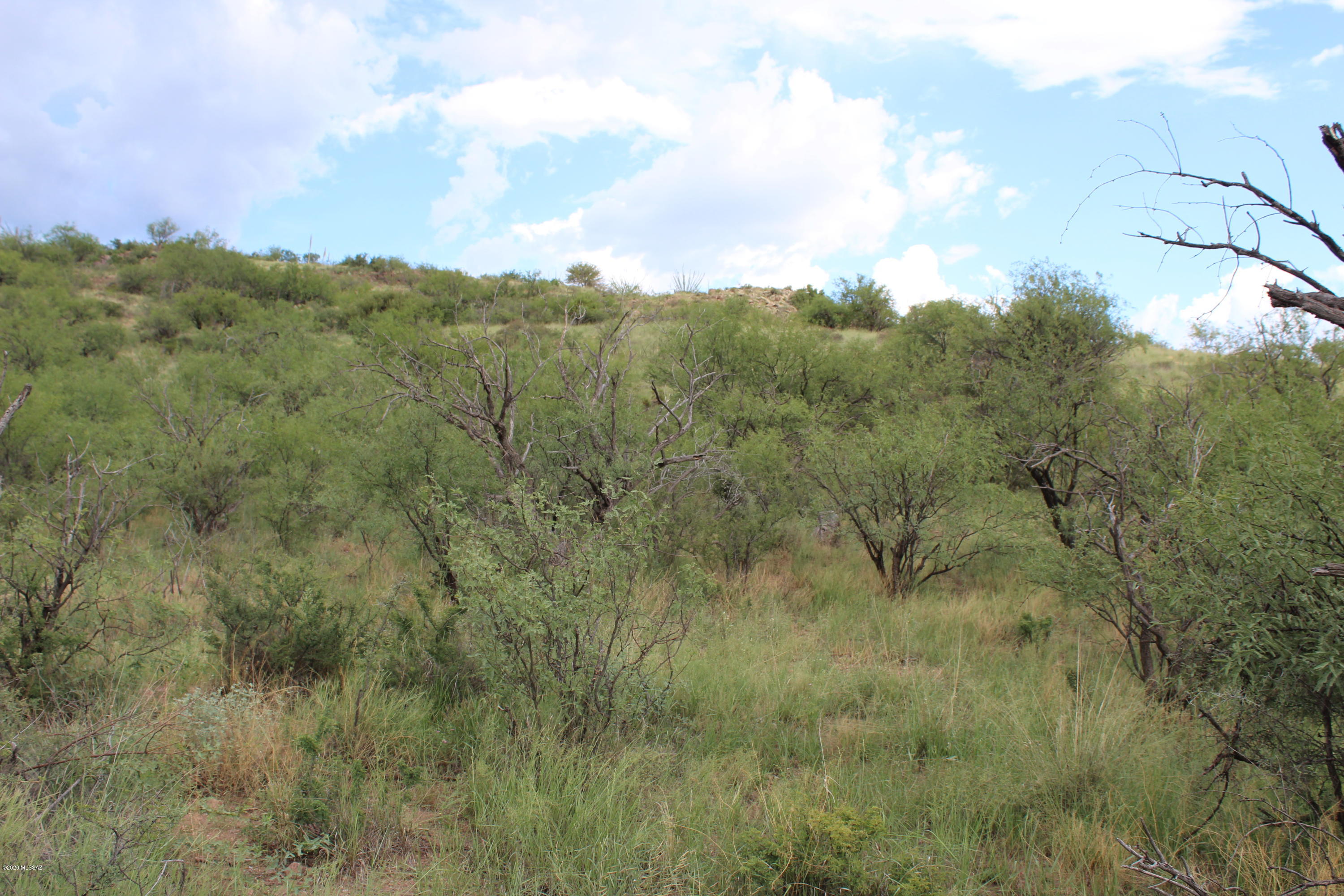 Morning Star Ranch - Land