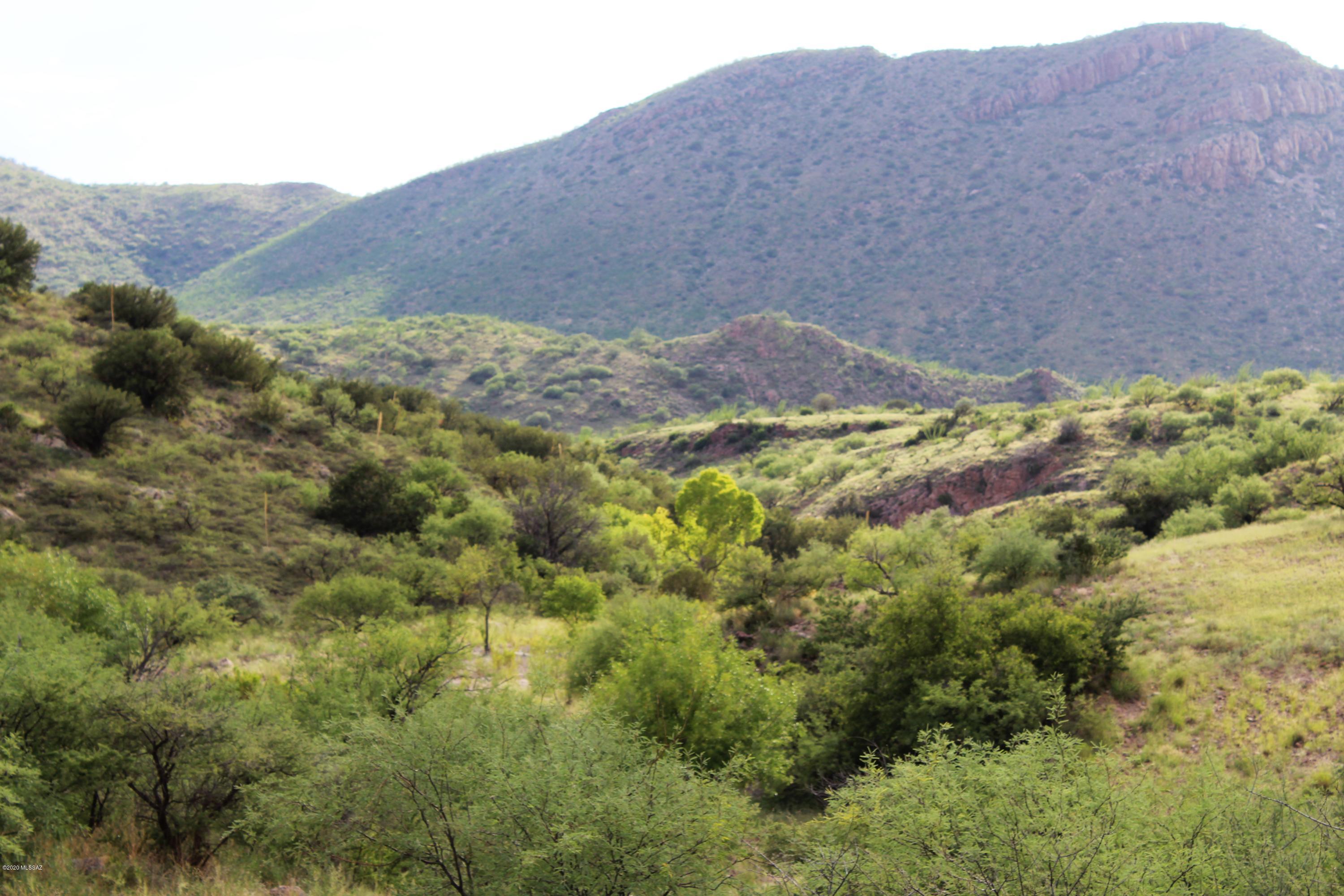 Morning Star Ranch - Land