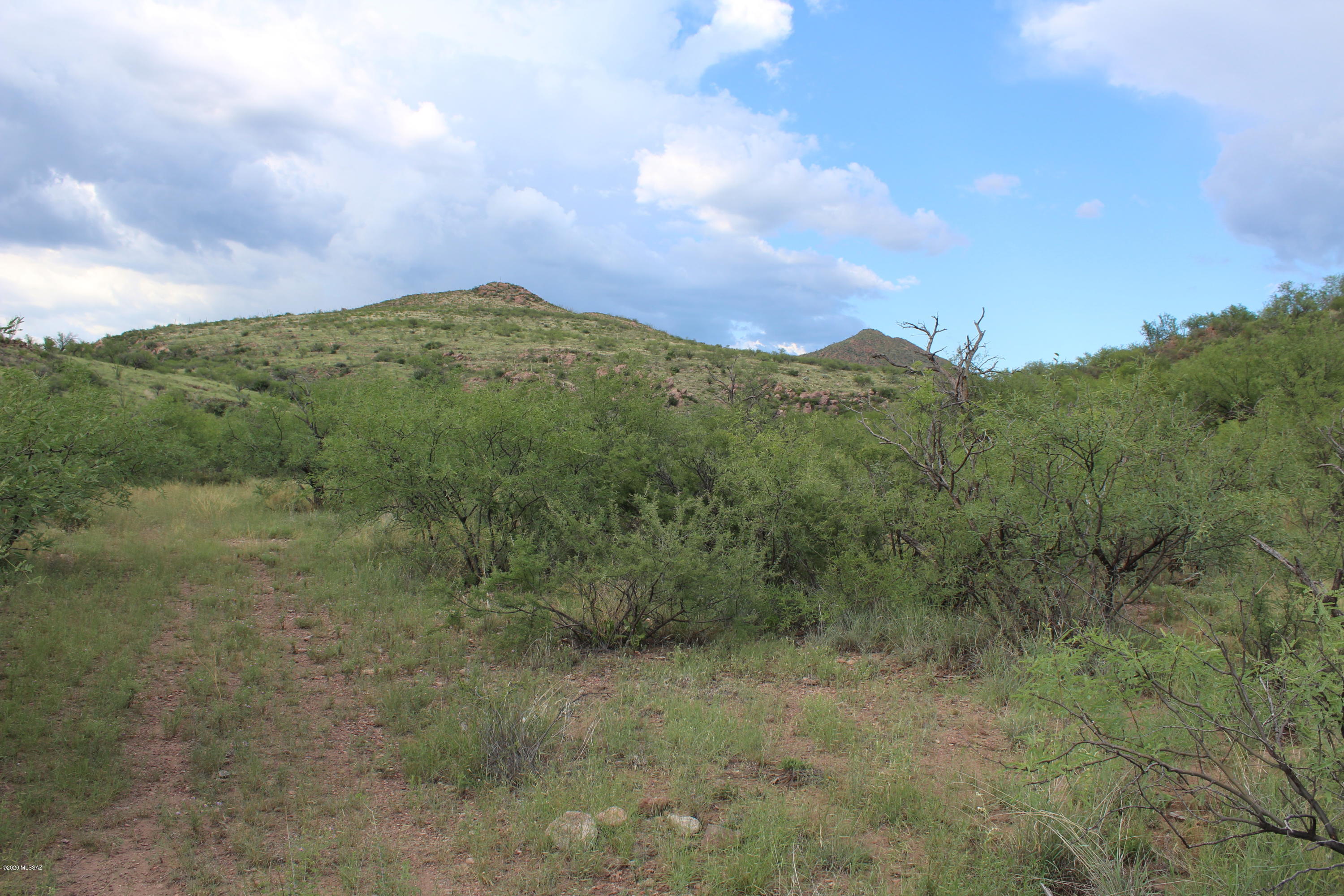 Morning Star Ranch - Land
