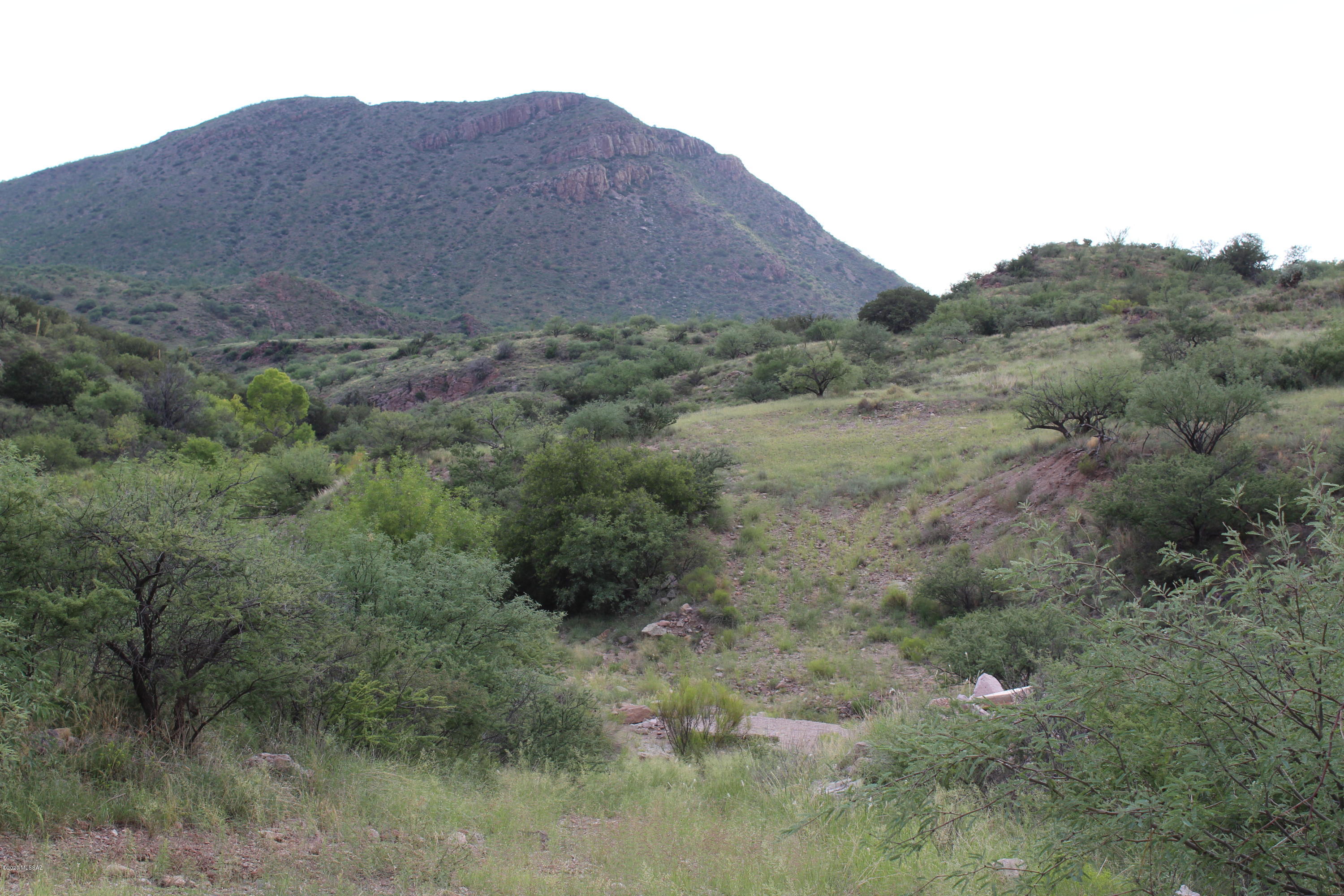 Morning Star Ranch - Land