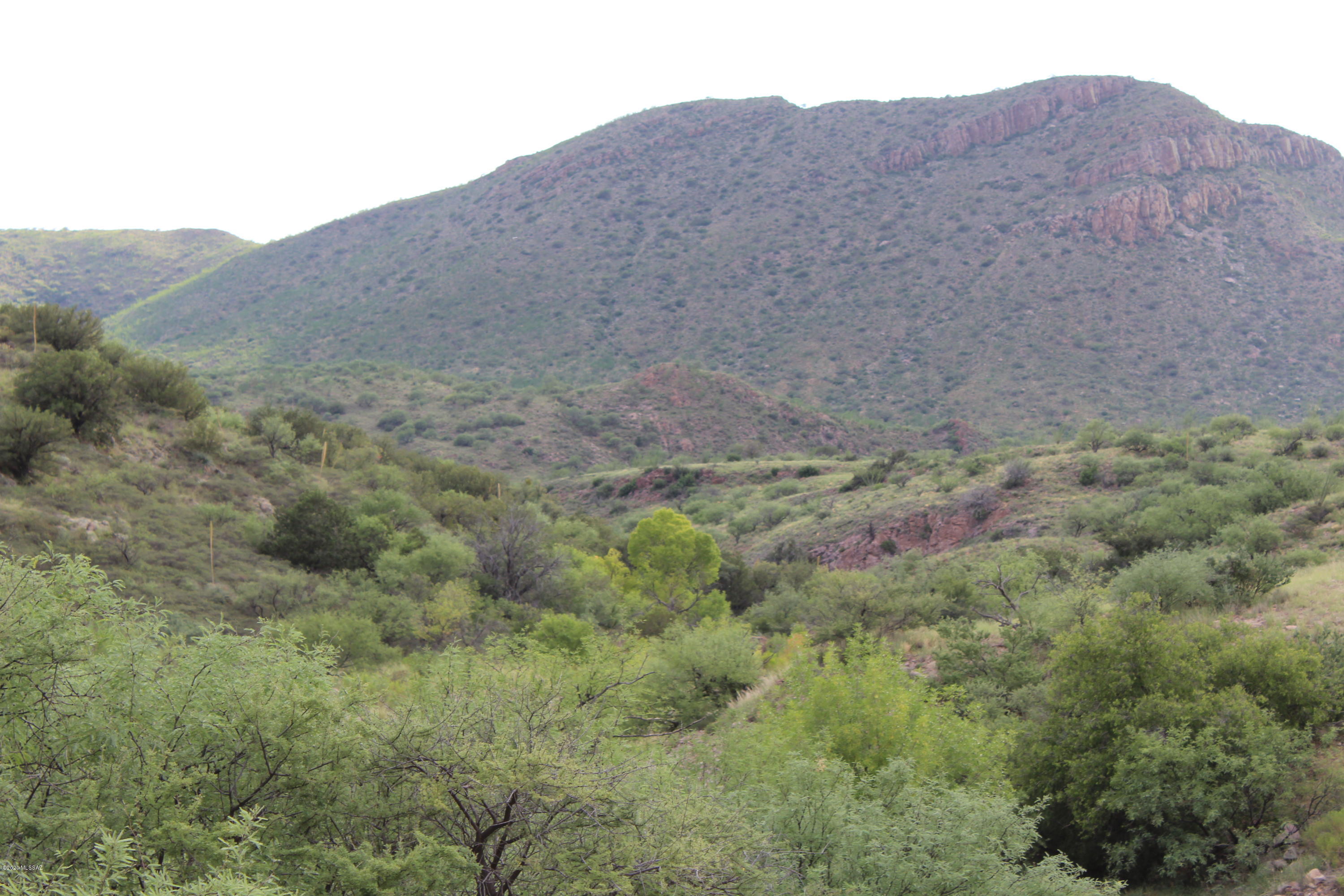 Morning Star Ranch - Land