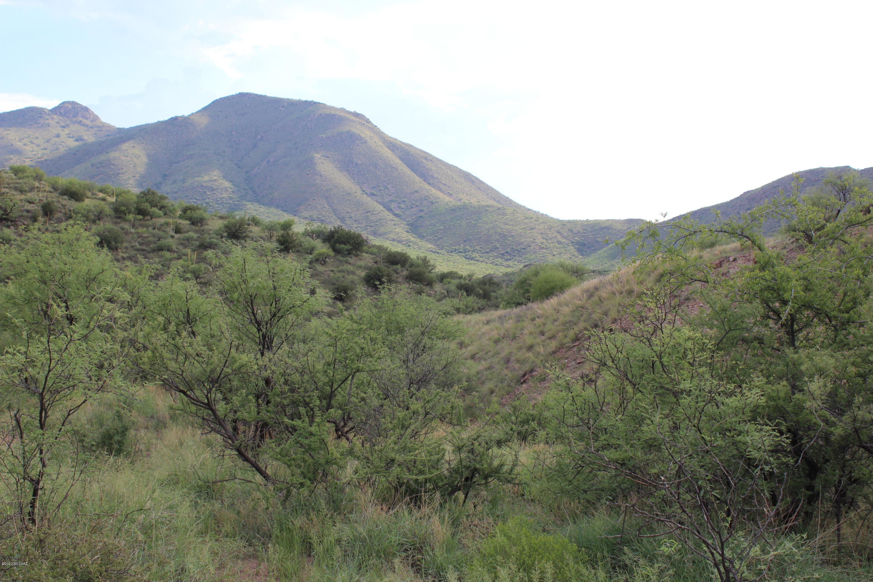 Morning Star Ranch - Land