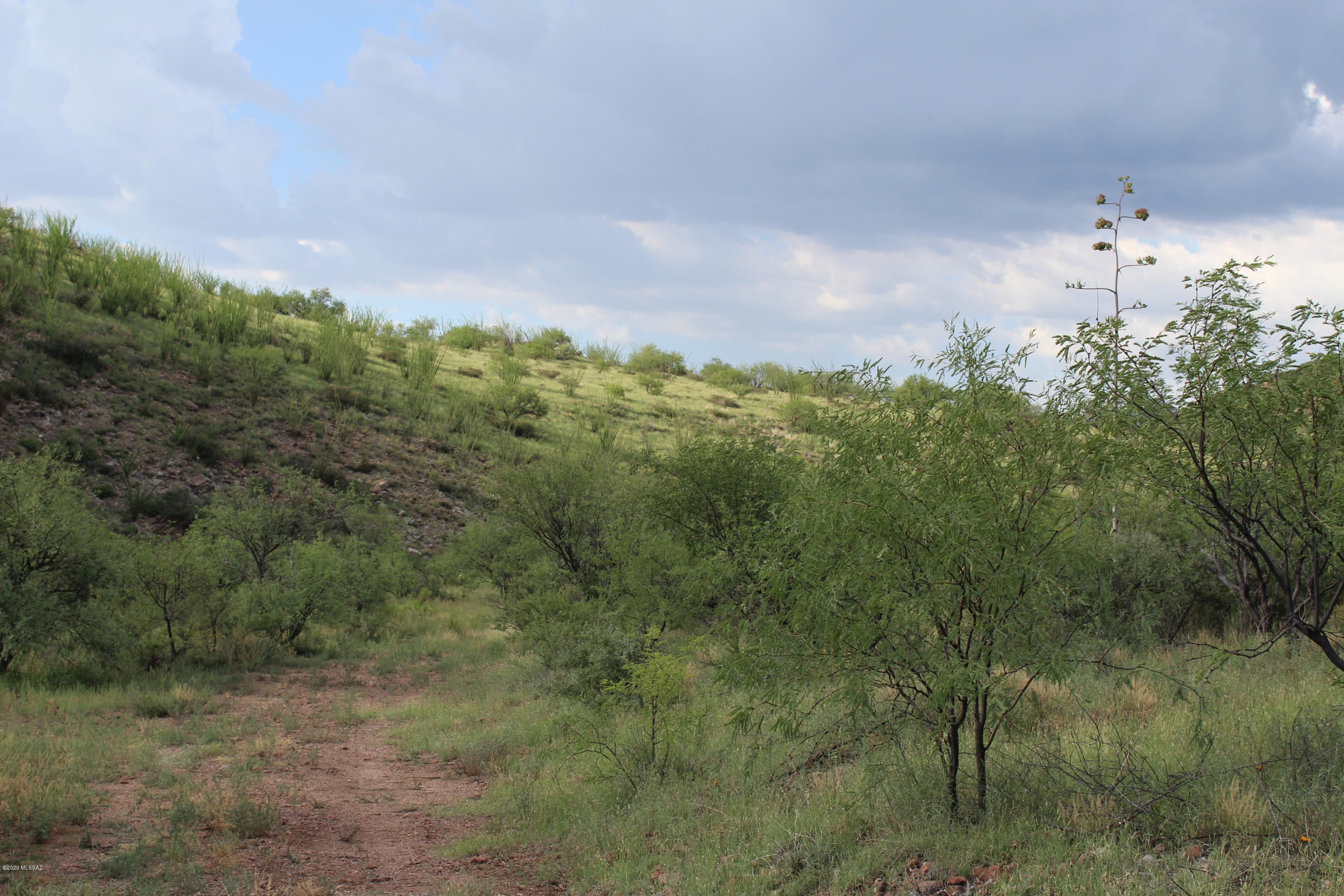 Morning Star Ranch - Land