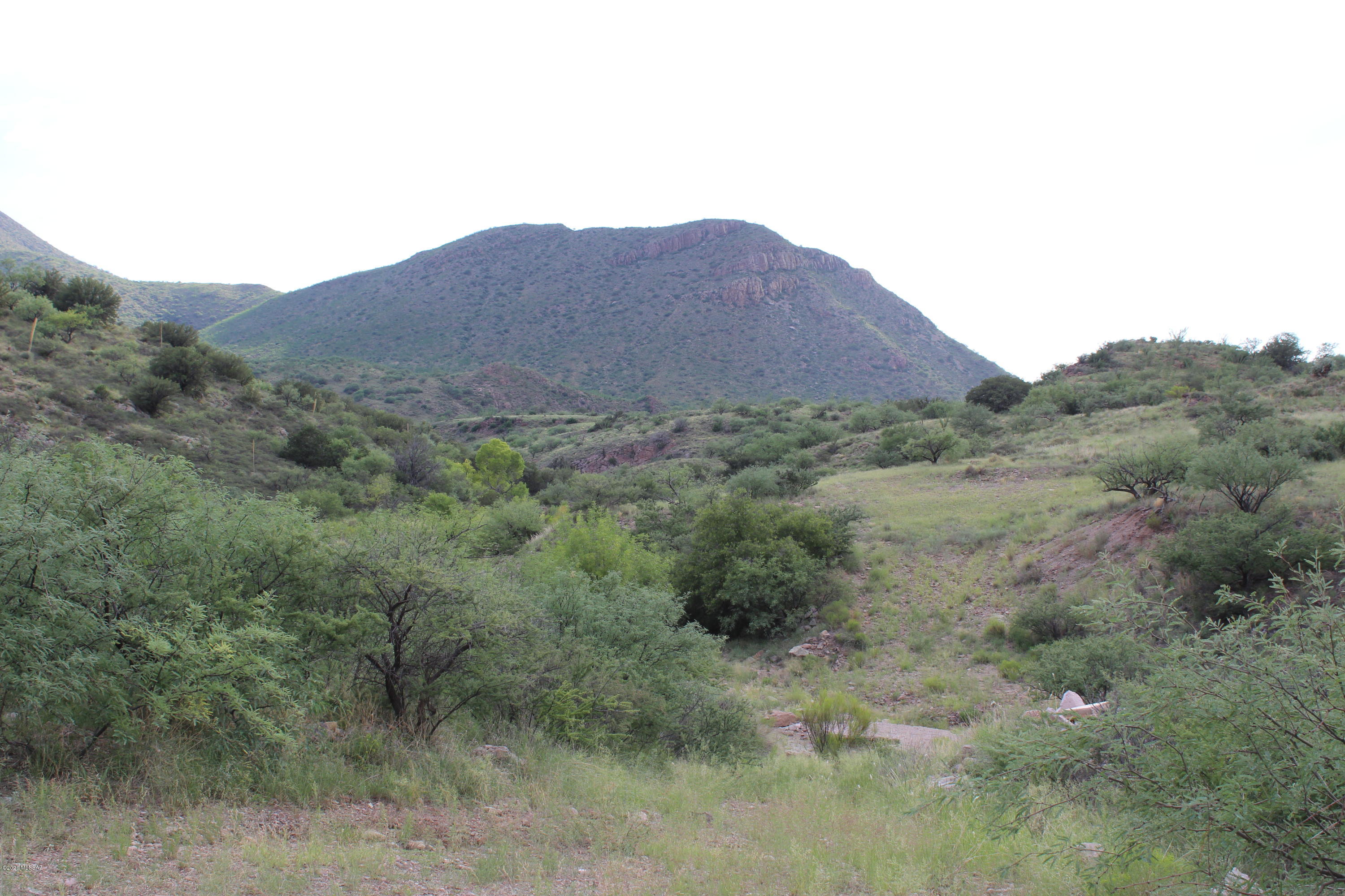 Morning Star Ranch - Land