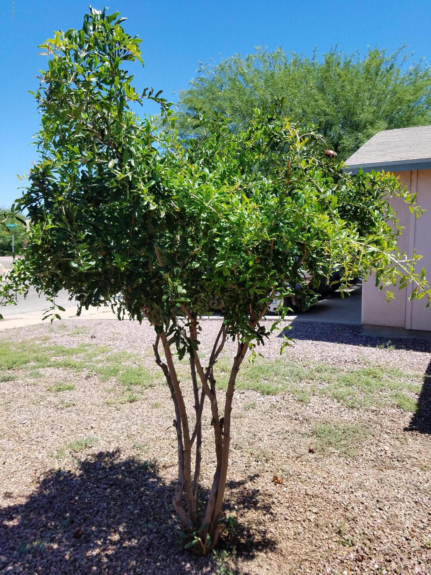 Greens At Midvale Park (1-359) - Residential