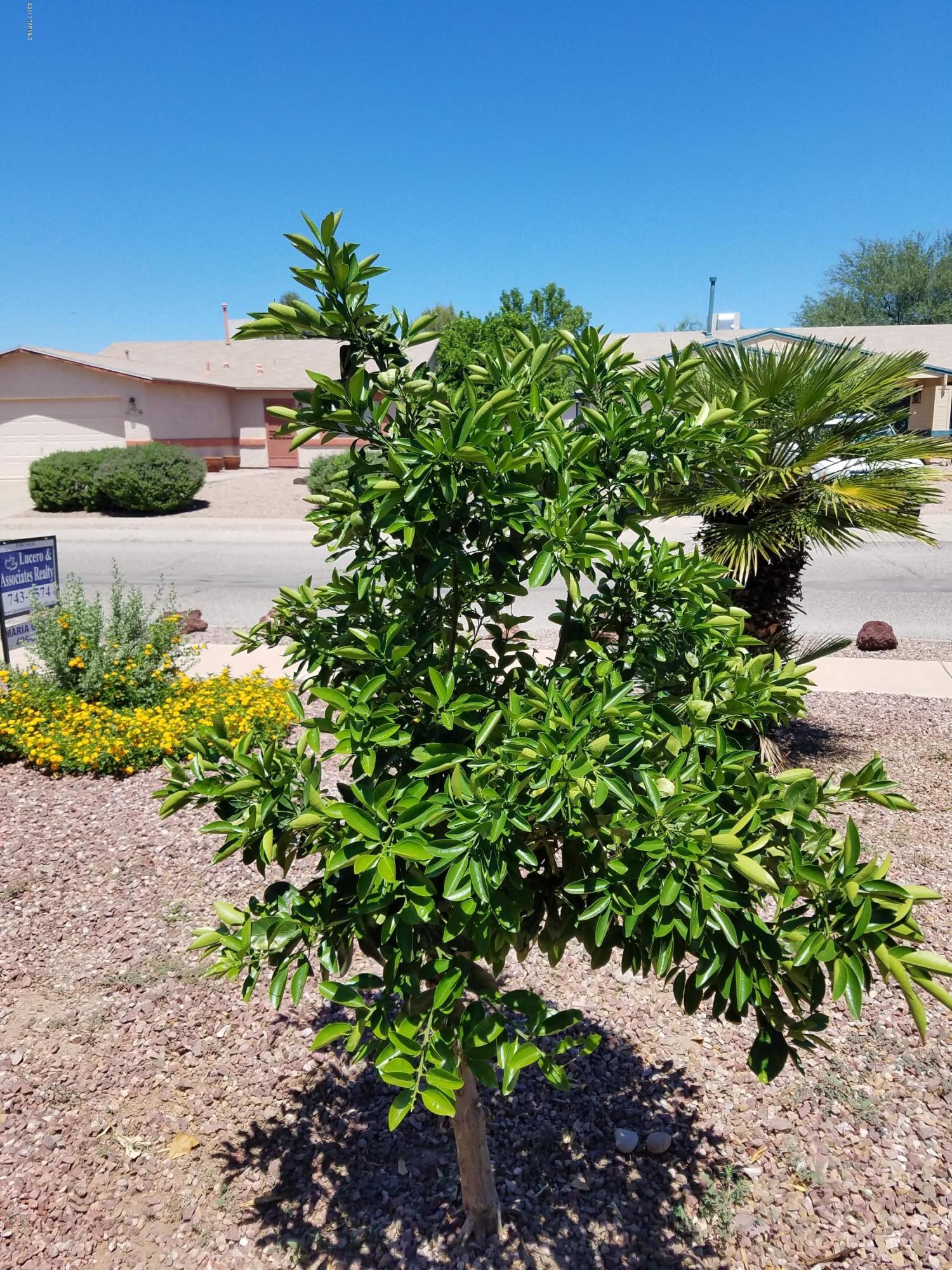Greens At Midvale Park (1-359) - Residential