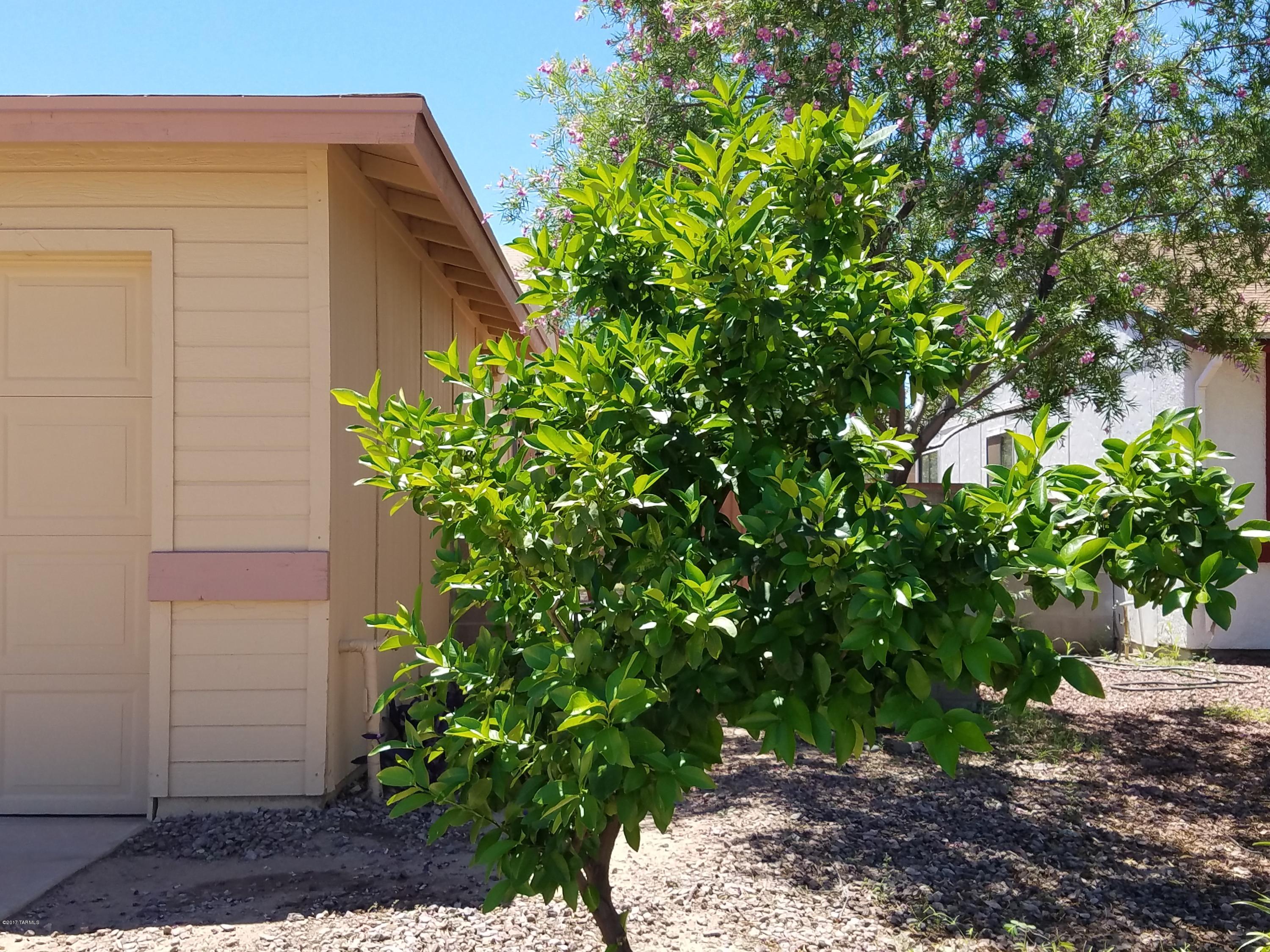 Greens At Midvale Park (1-359) - Residential