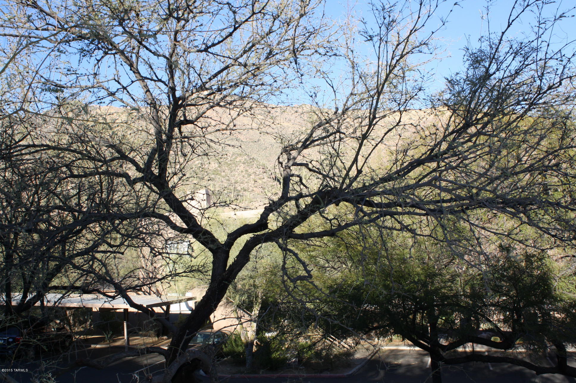 Canyon View At Ventana Condominium (1-264) - Residential Lease
