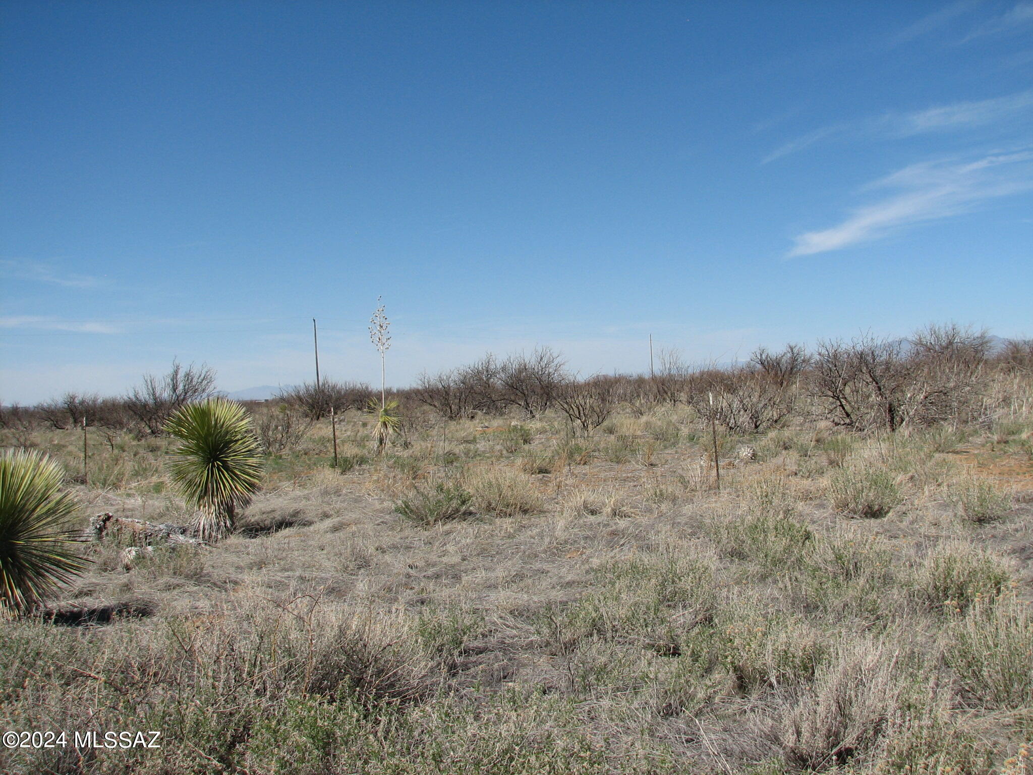Sweeping, panoramic views of the surrounding mountain ranges, peaceful country setting in popular Ash Creek area.  Electric on two side of property.  Level, usable land.