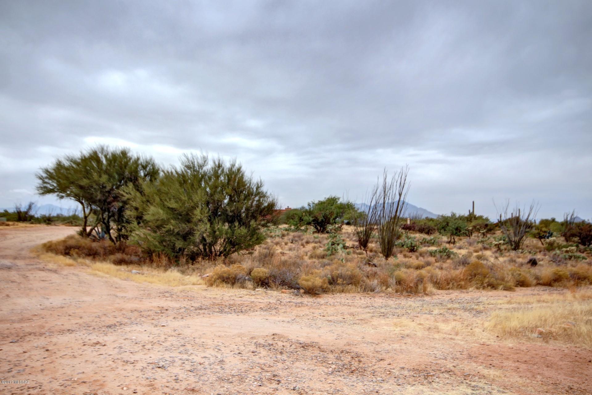 Diamond Bell Ranch - Tucson Unit 9 (Lots 58-375) - Residential