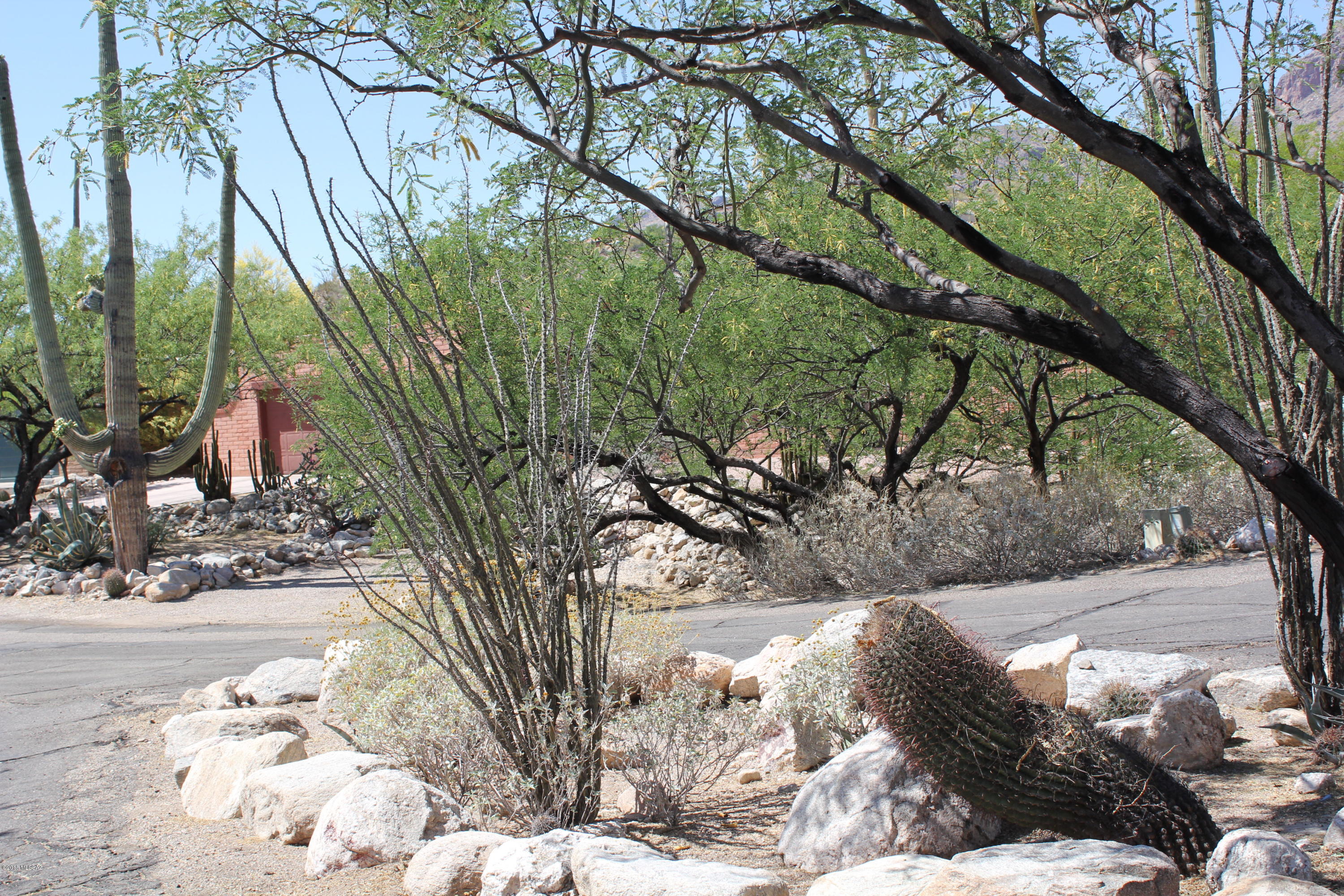 The Foothills Clusters (214-372) - Residential