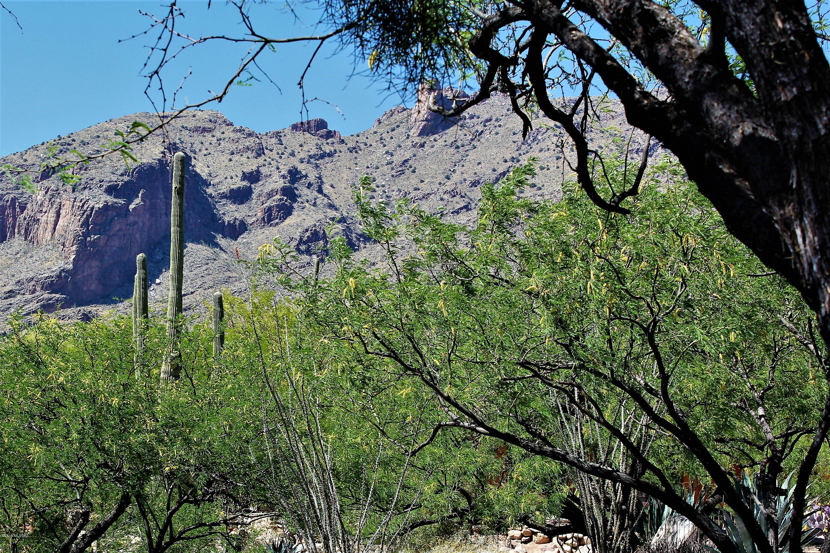 The Foothills Clusters (214-372) - Residential