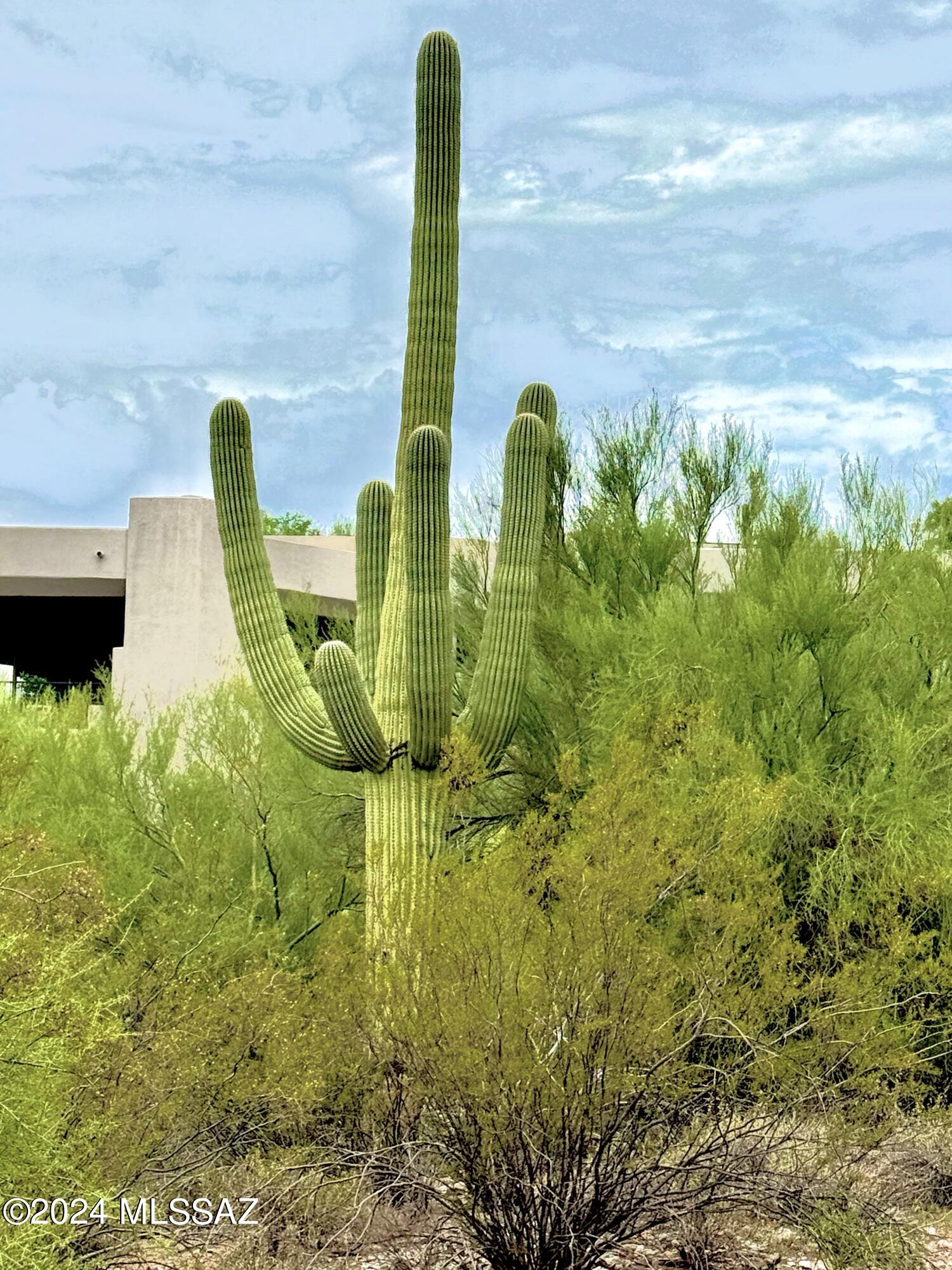 La Paloma Estates (1-35) - Residential