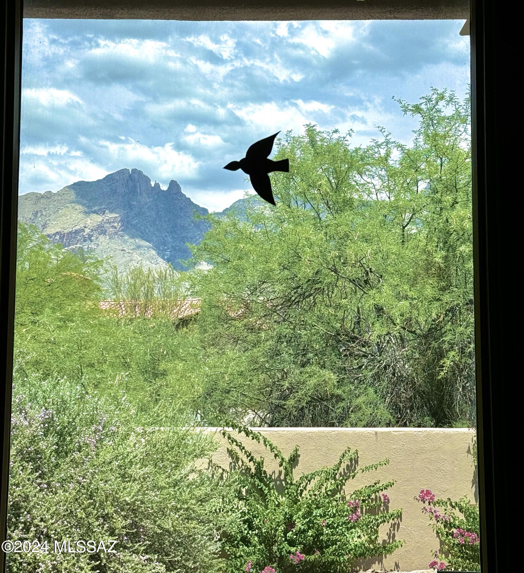 La Paloma Estates (1-35) - Residential