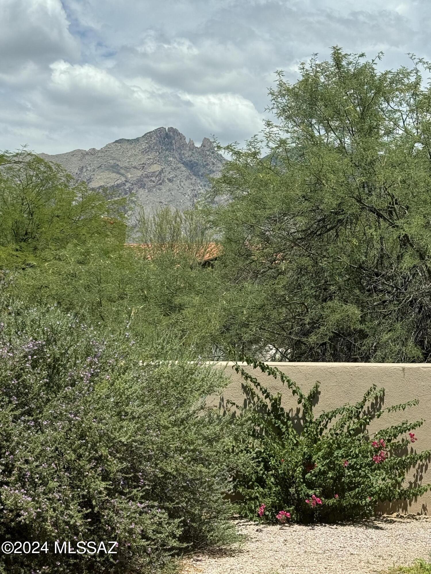 La Paloma Estates (1-35) - Residential