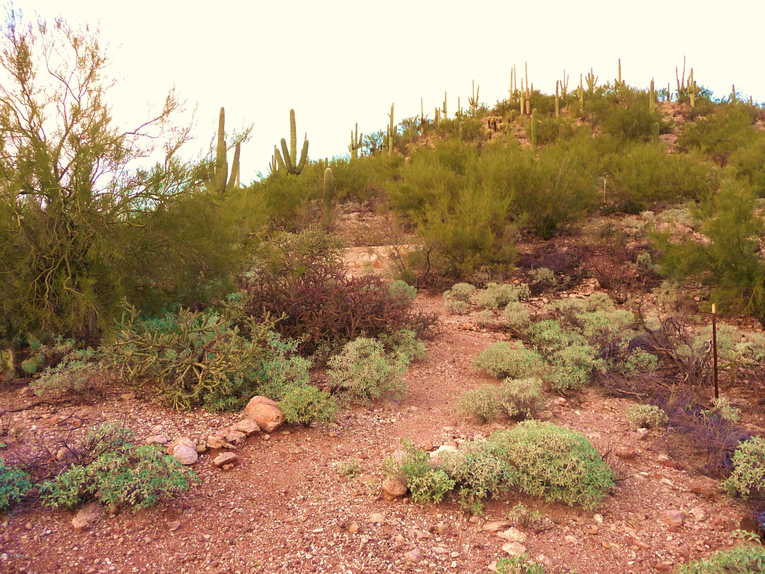 Quail Canyon (100-234) - Residential