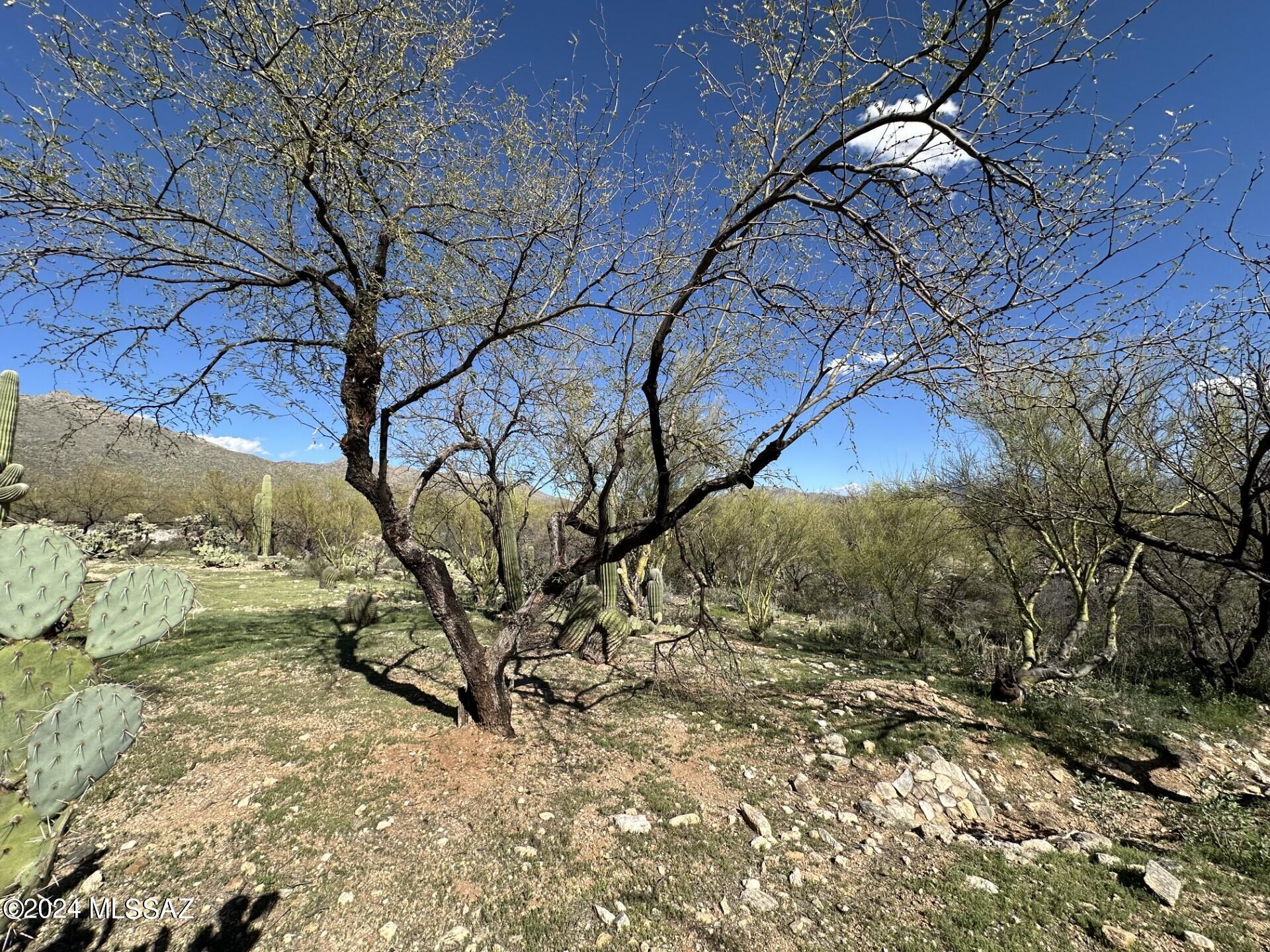Fetzer Ranch (1-60) - Residential