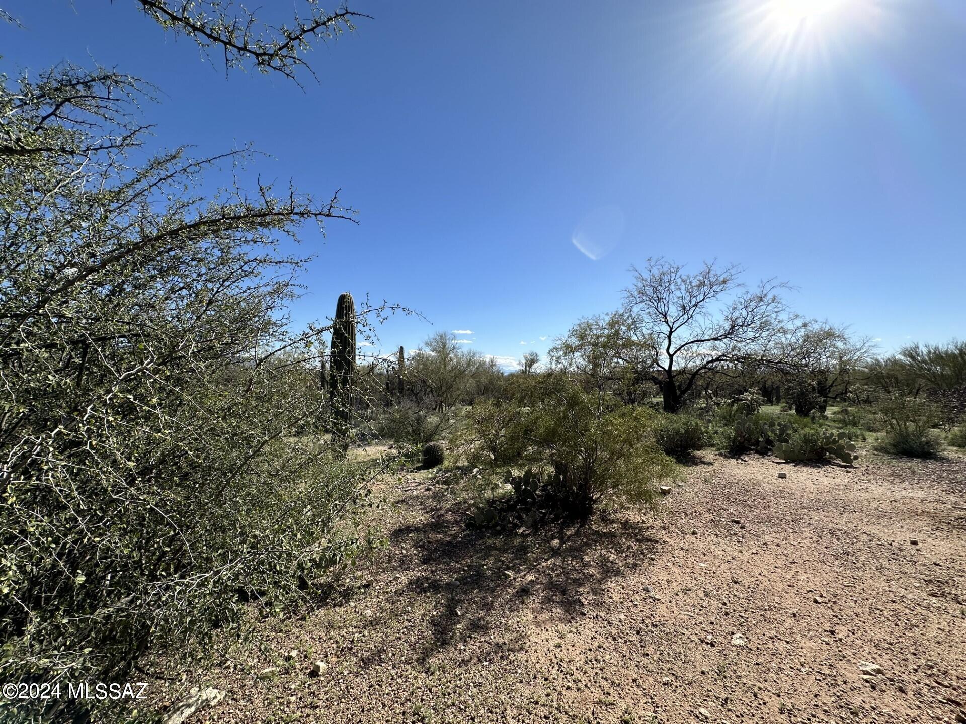 Fetzer Ranch (1-60) - Residential