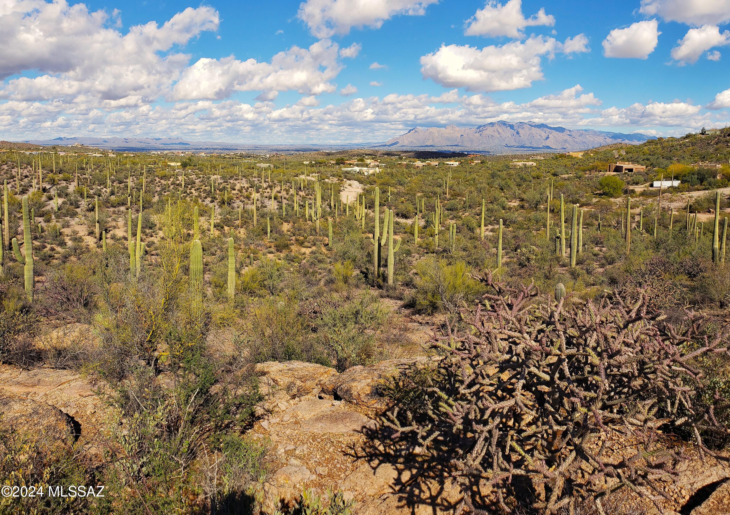 A rare opportunity to own a large parcel containing room for four 3.3 acre homesites if desired or a large 13+ acre homestead with long distance views to the north and east of the Catalina mountains range. There is a large wash located along the east side of the lot that sits about 20 feet below the edge. Has no effect on your use and enjoyment of this property. Tucson Water will serve this parcel from their line in Camino De Oeste. A newly created driveway has been created to access this lot off Cam. De Oeste. A short drive into town via Gates Pass Rd. which turns into Speedway Blvd as you drive east towards town. Parcel ''B'' to the west is also available for purchase. MLS# 22403606