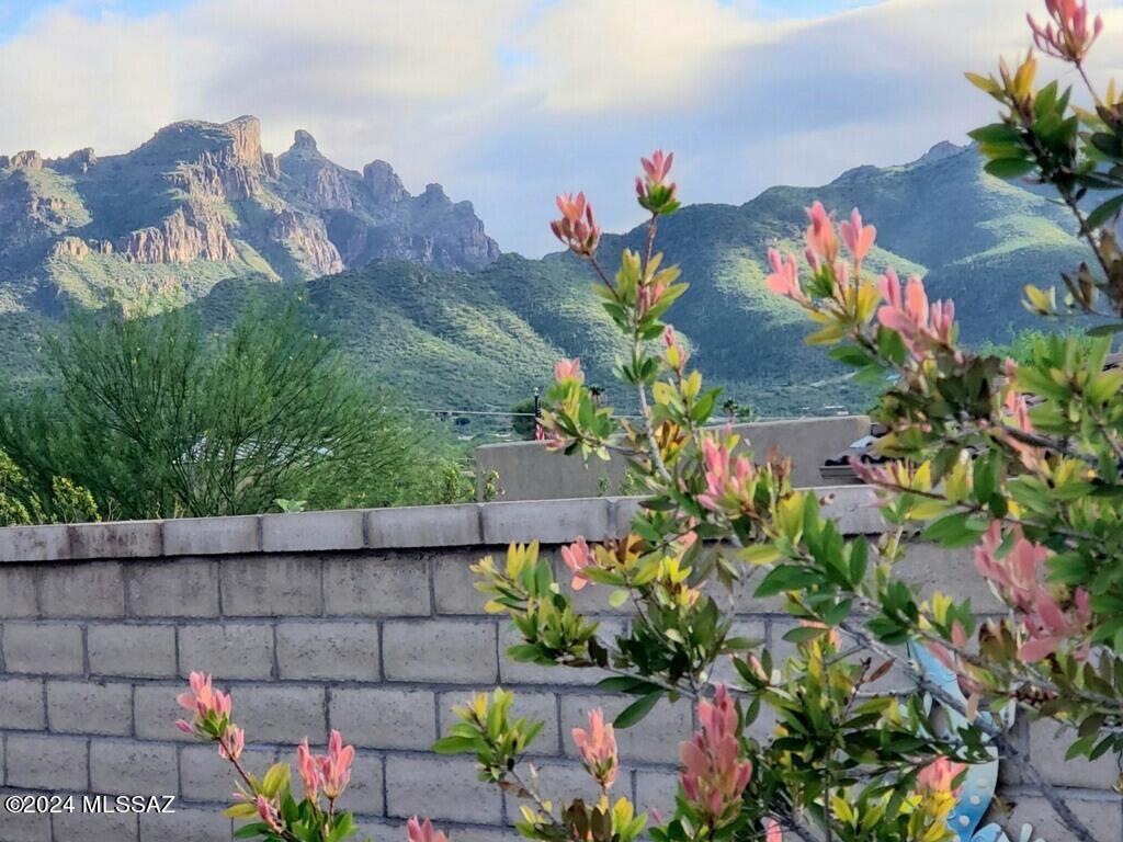 Bear Canyon Overlook (1-15) - Residential