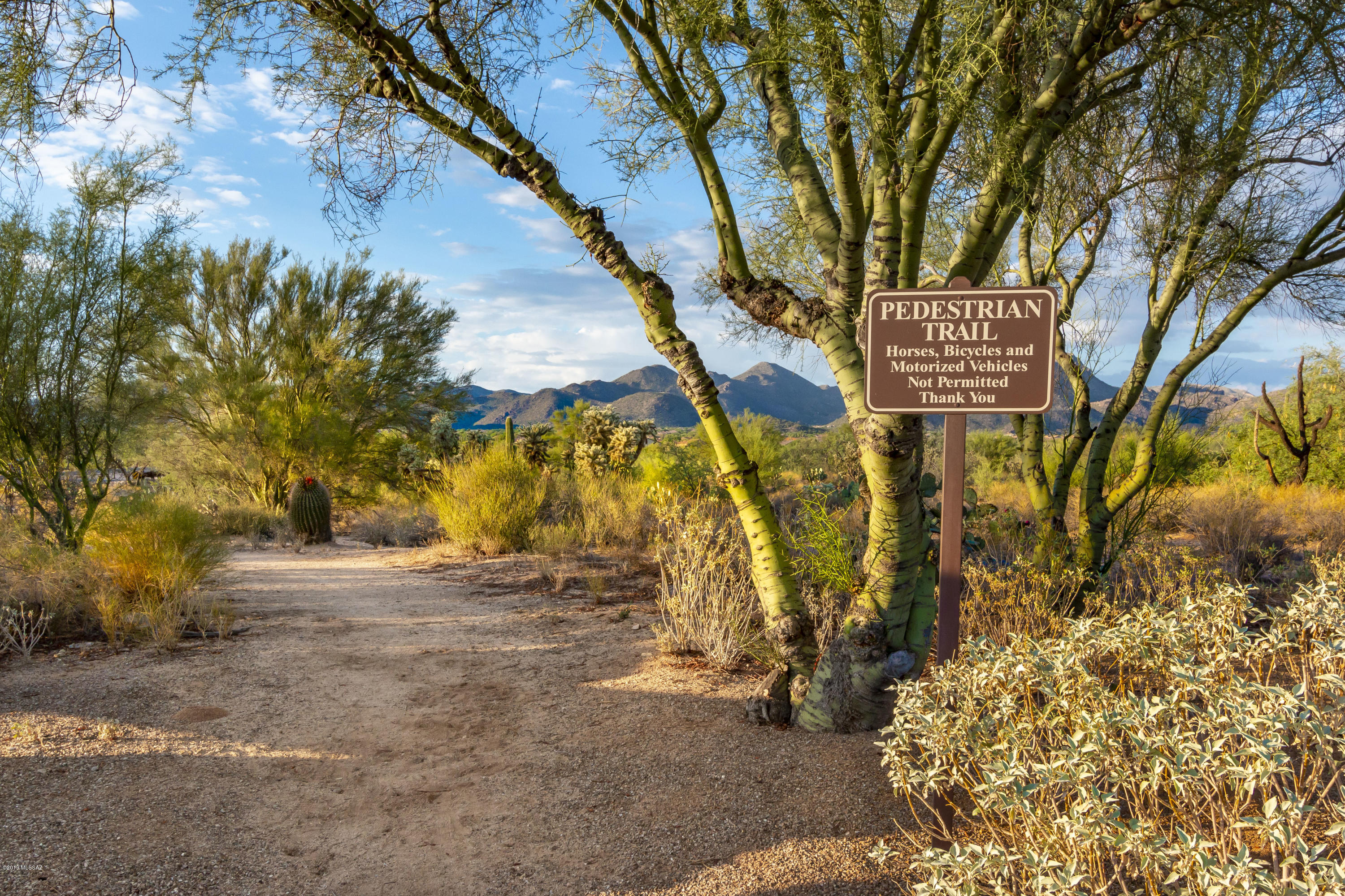 Preserve II at Dove Mtn (183-305) - Residential