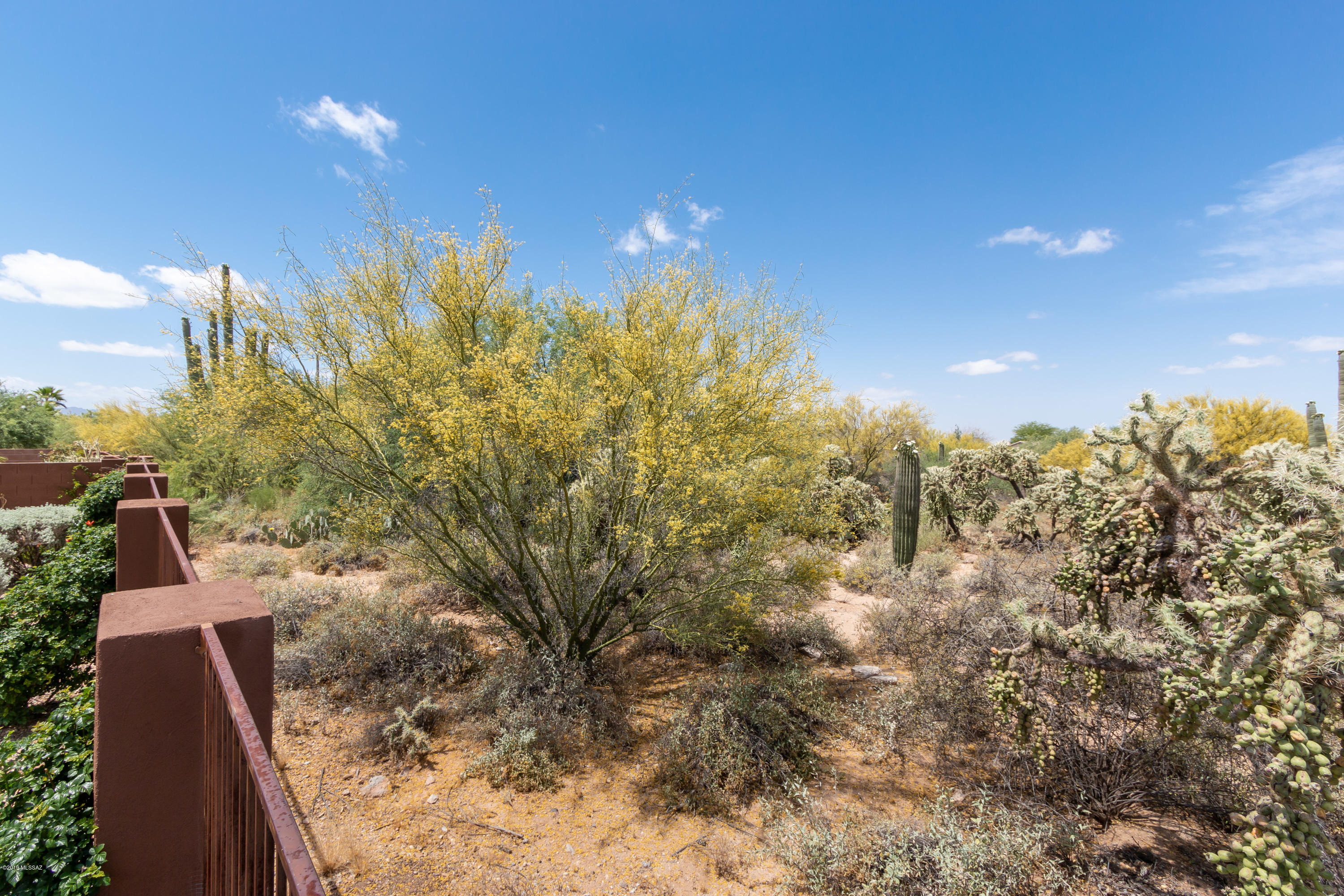 Preserve II at Dove Mtn (183-305) - Residential