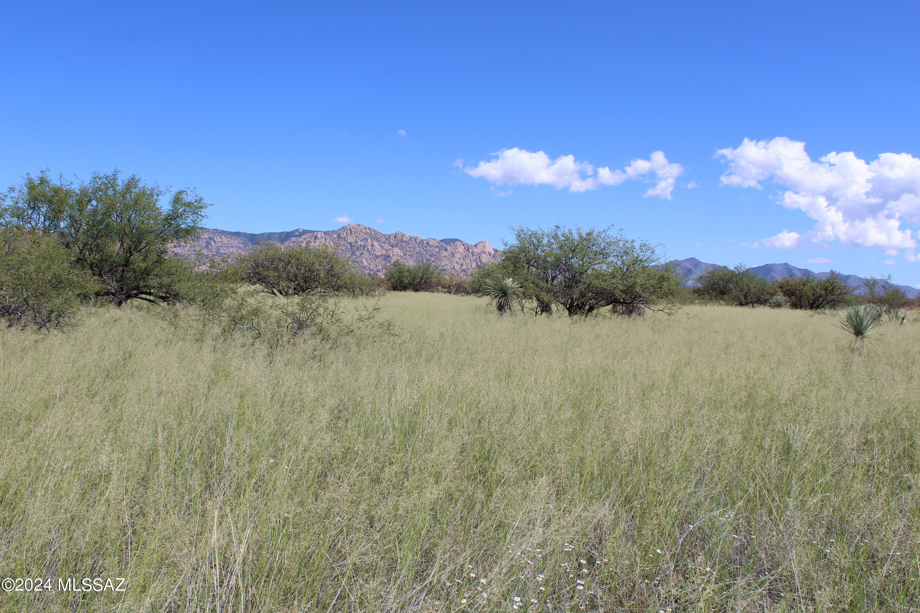Dragoon Mountain Ranch - Land