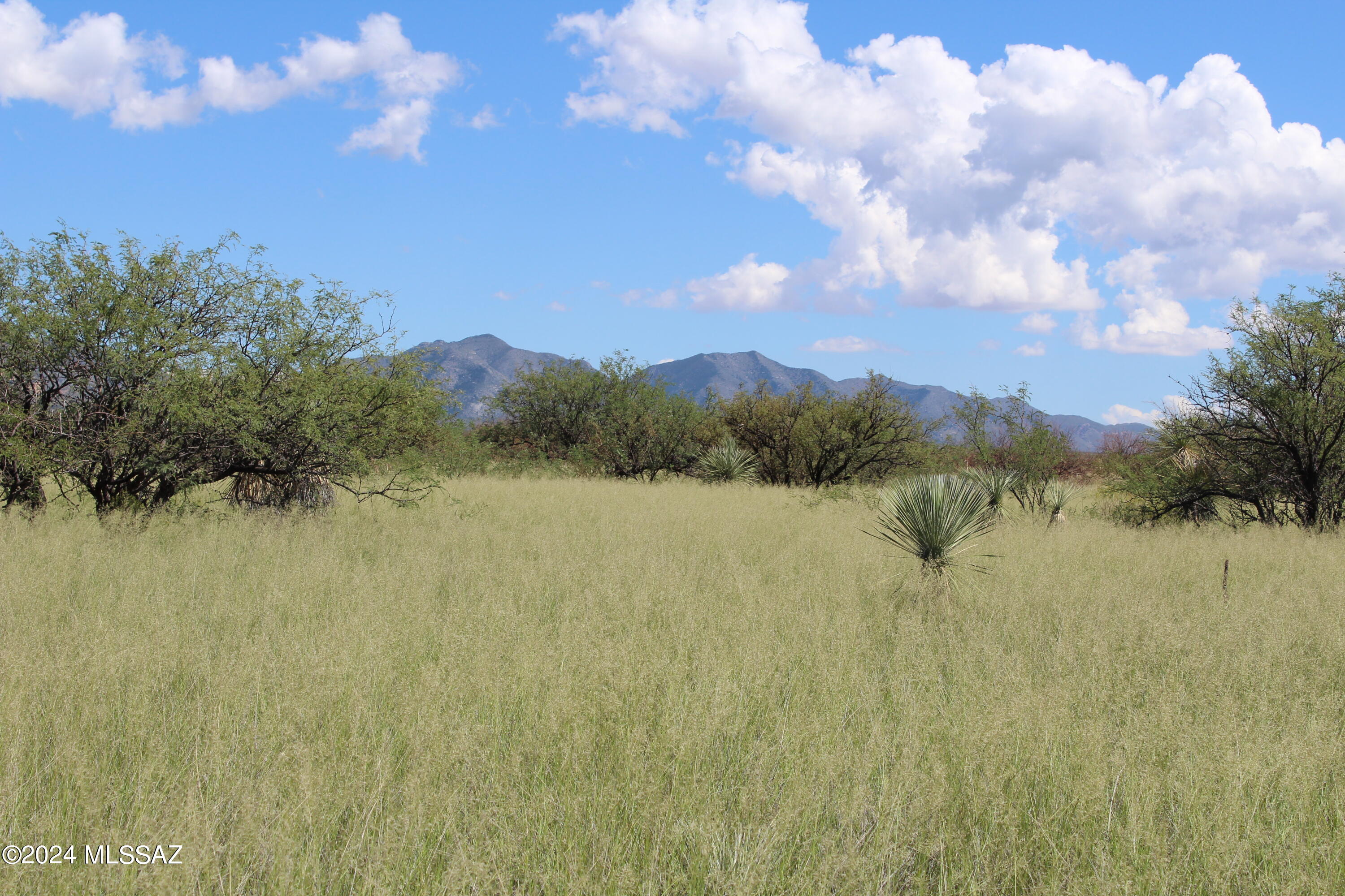 Dragoon Mountain Ranch - Land