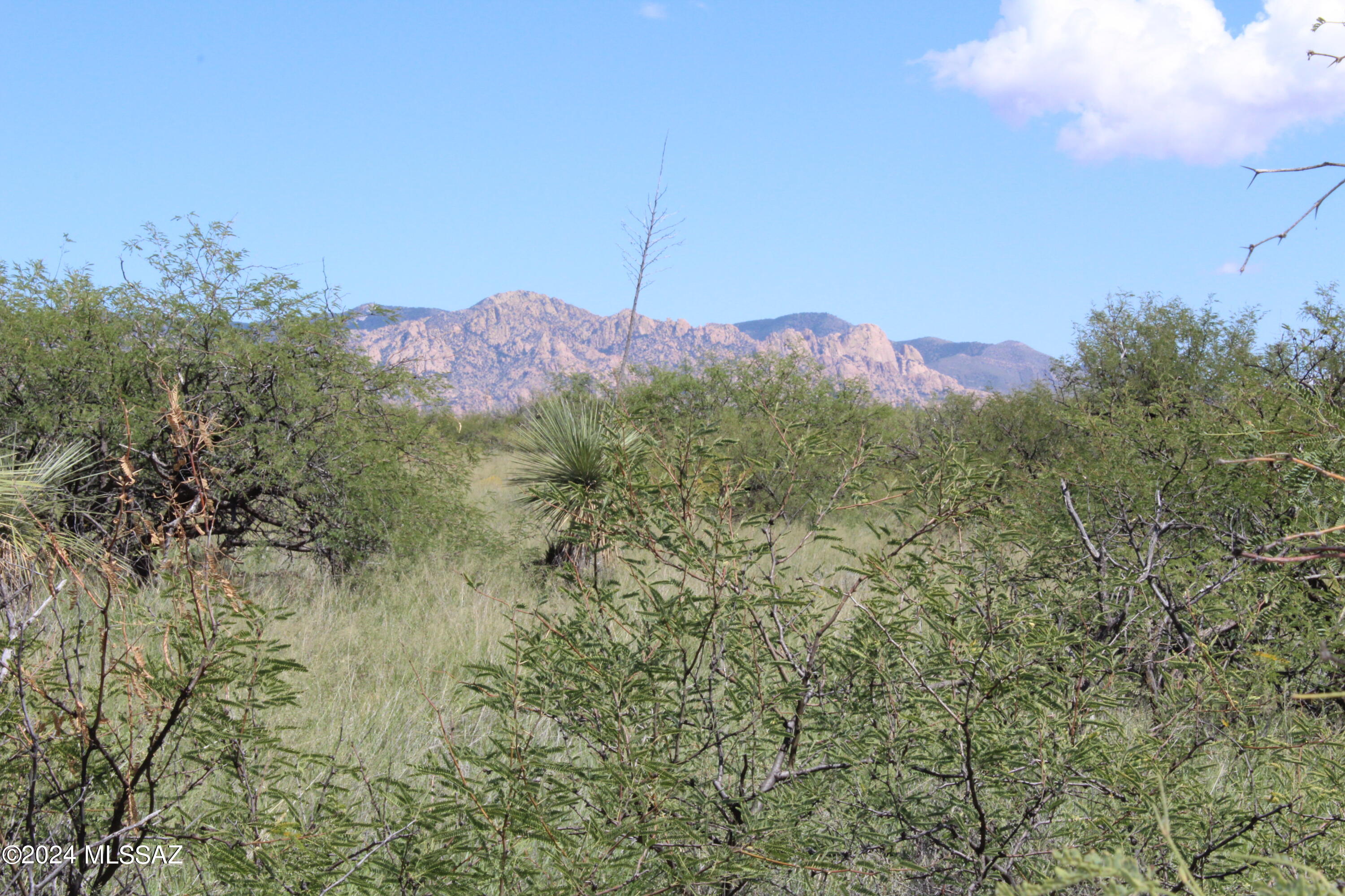 Dragoon Mountain Ranch - Land