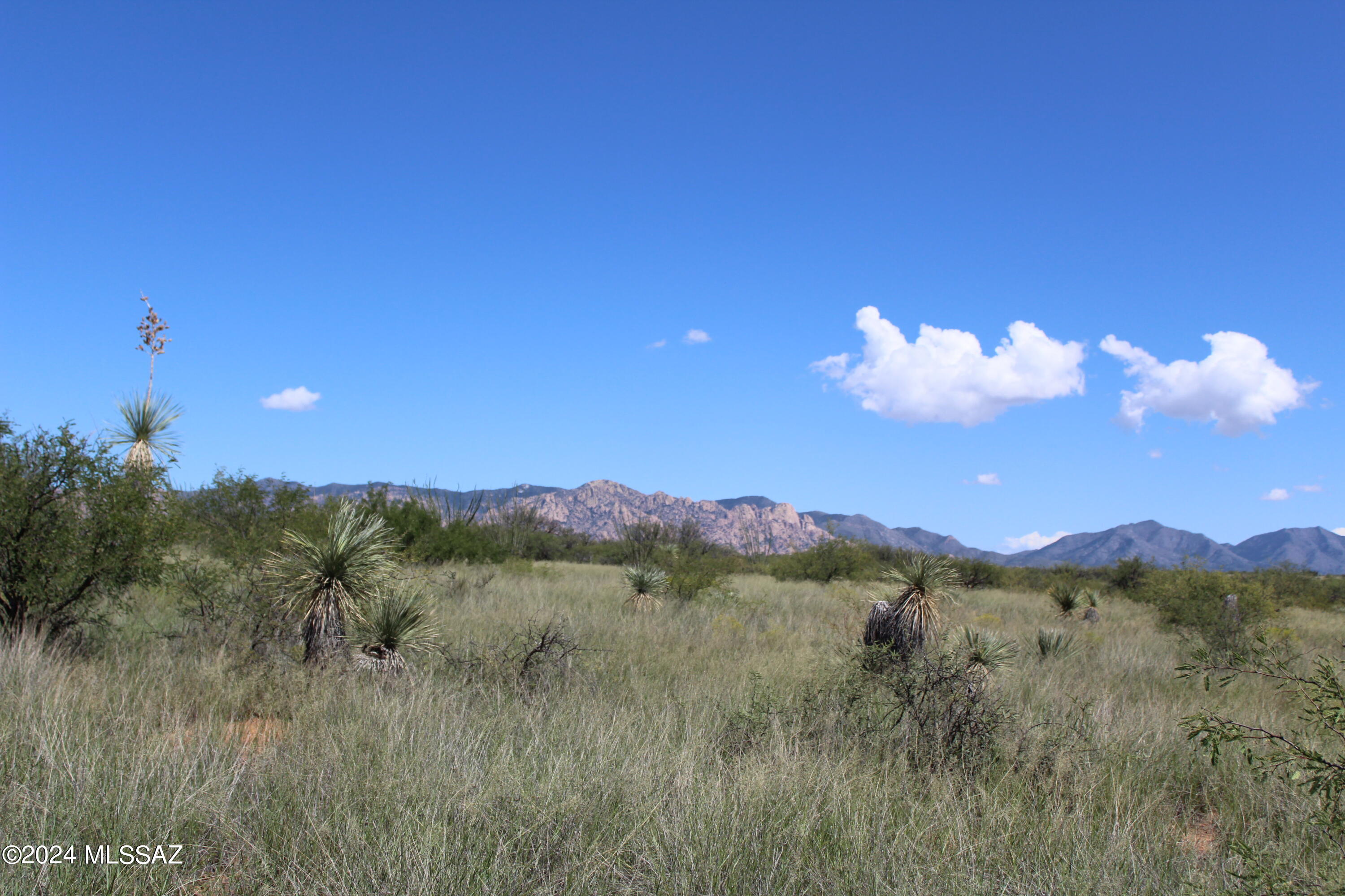 Dragoon Mountain Ranch - Land
