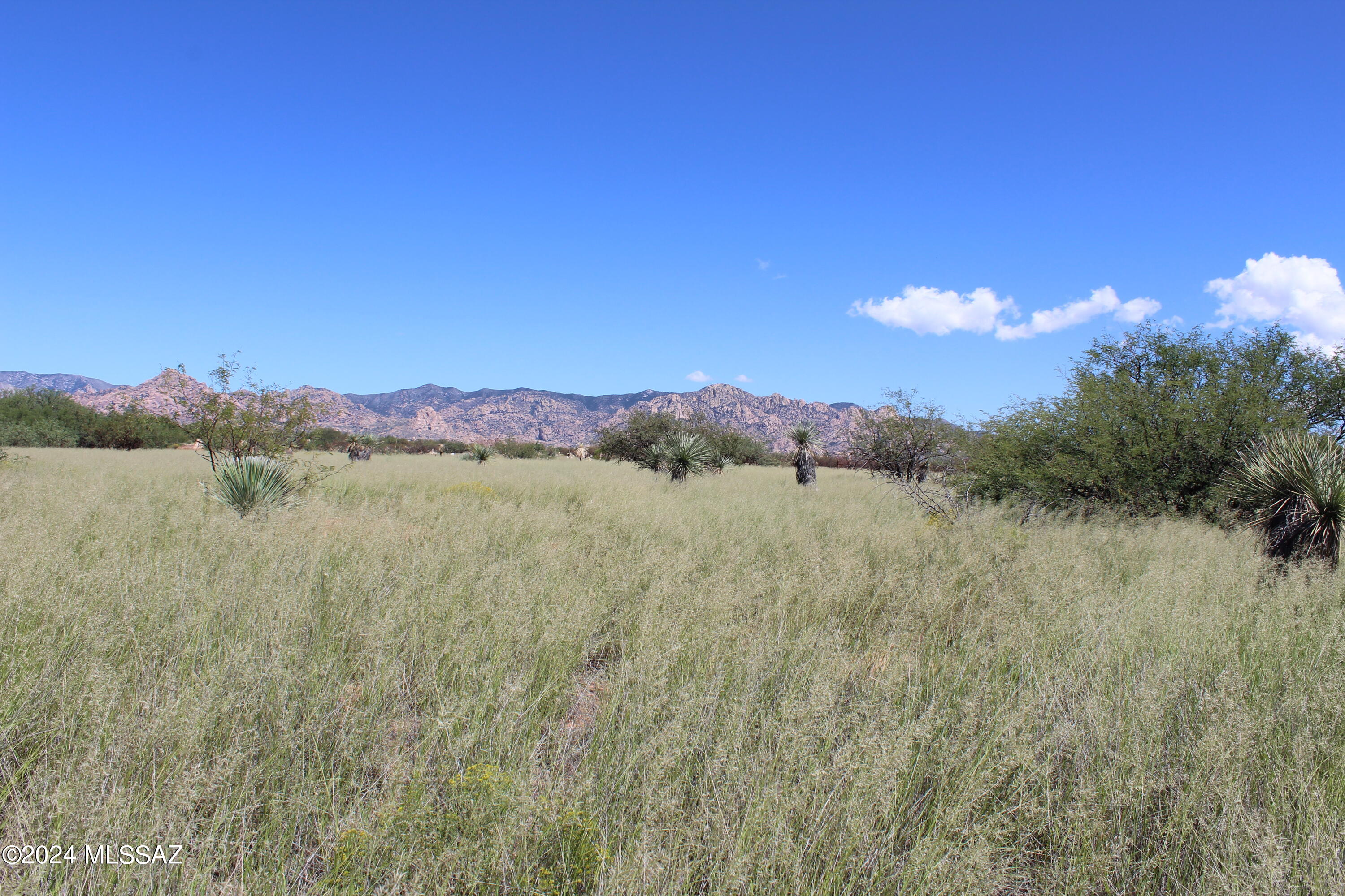 Dragoon Mountain Ranch - Land