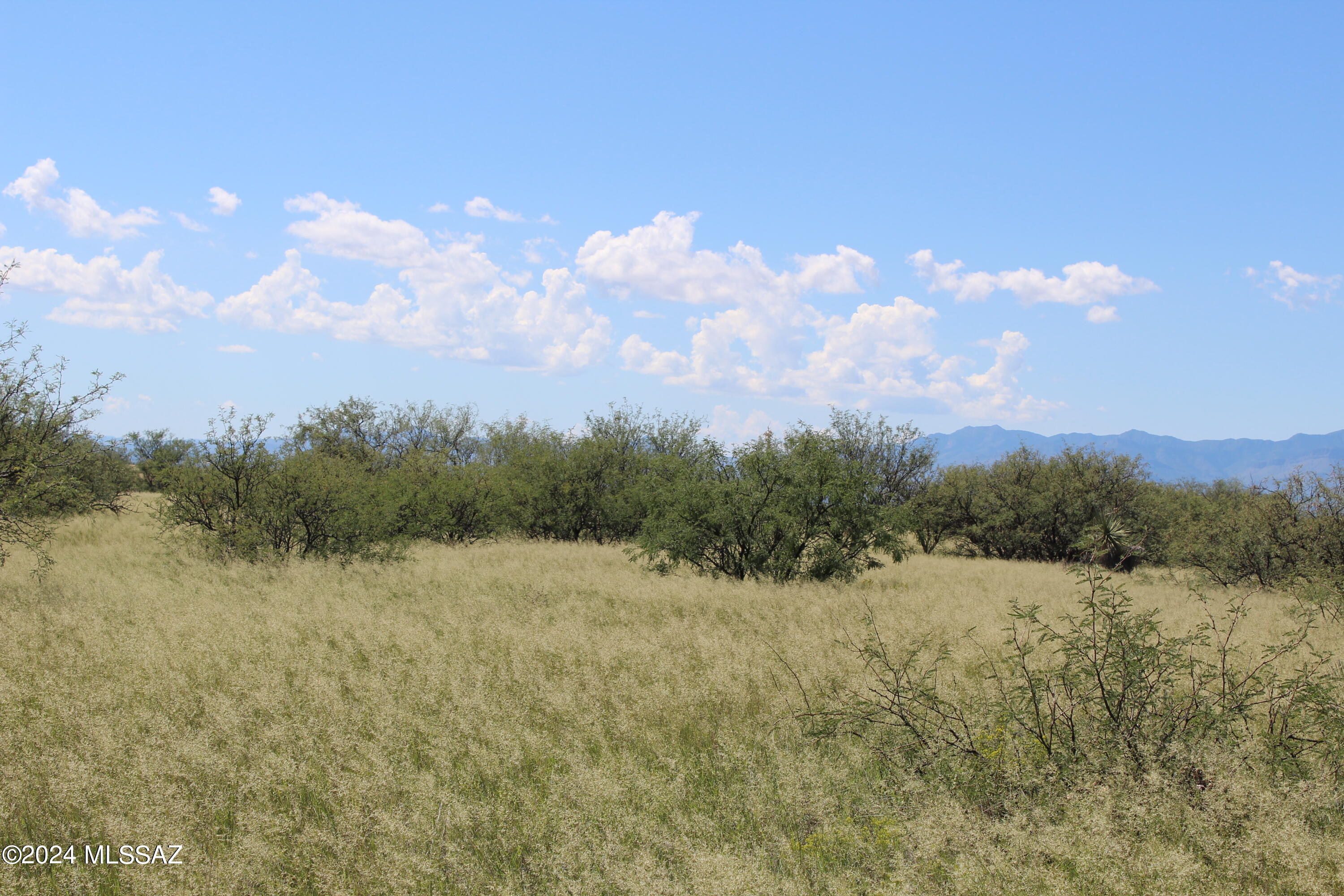 Dragoon Mountain Ranch - Land