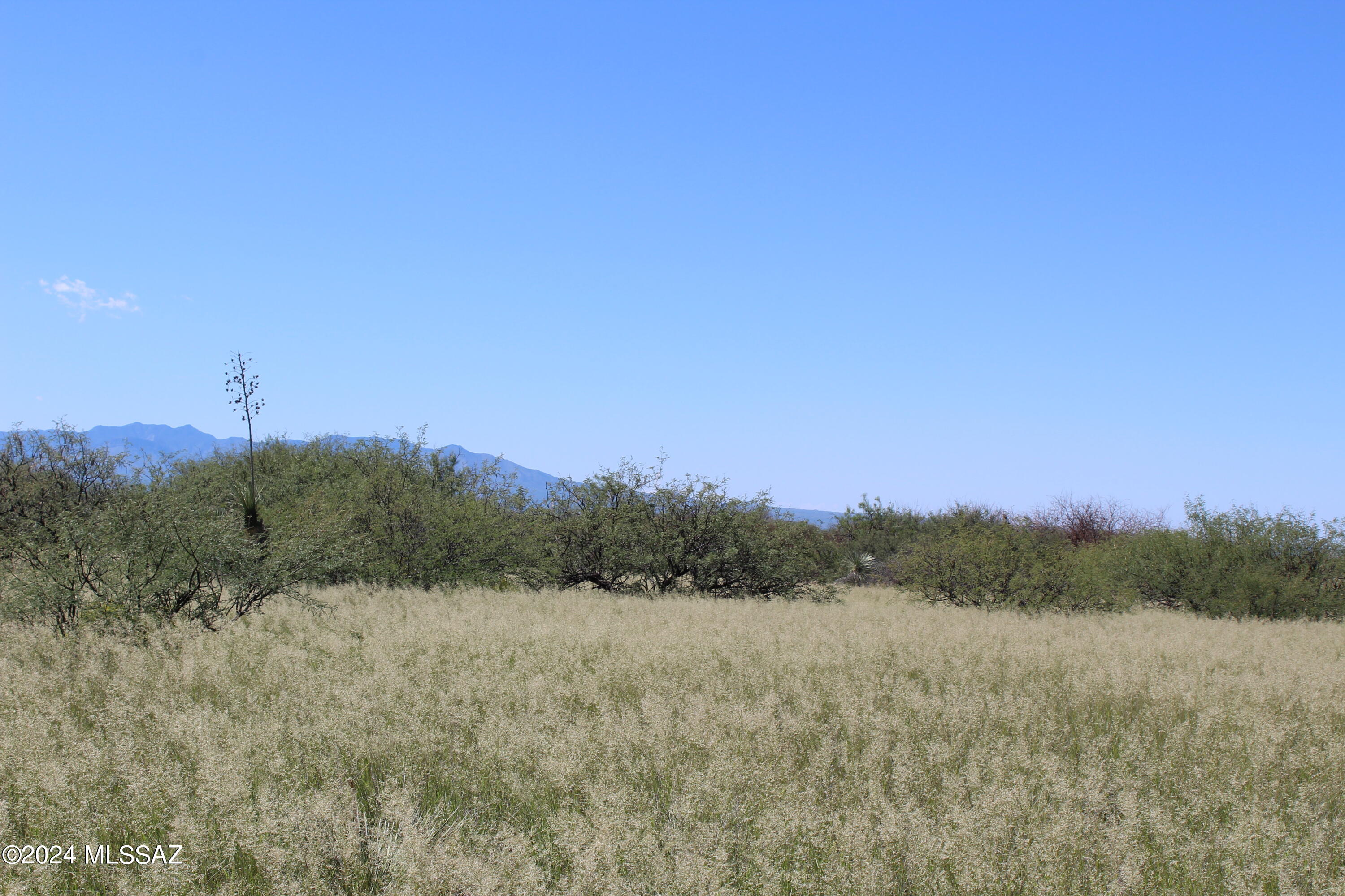 Dragoon Mountain Ranch - Land