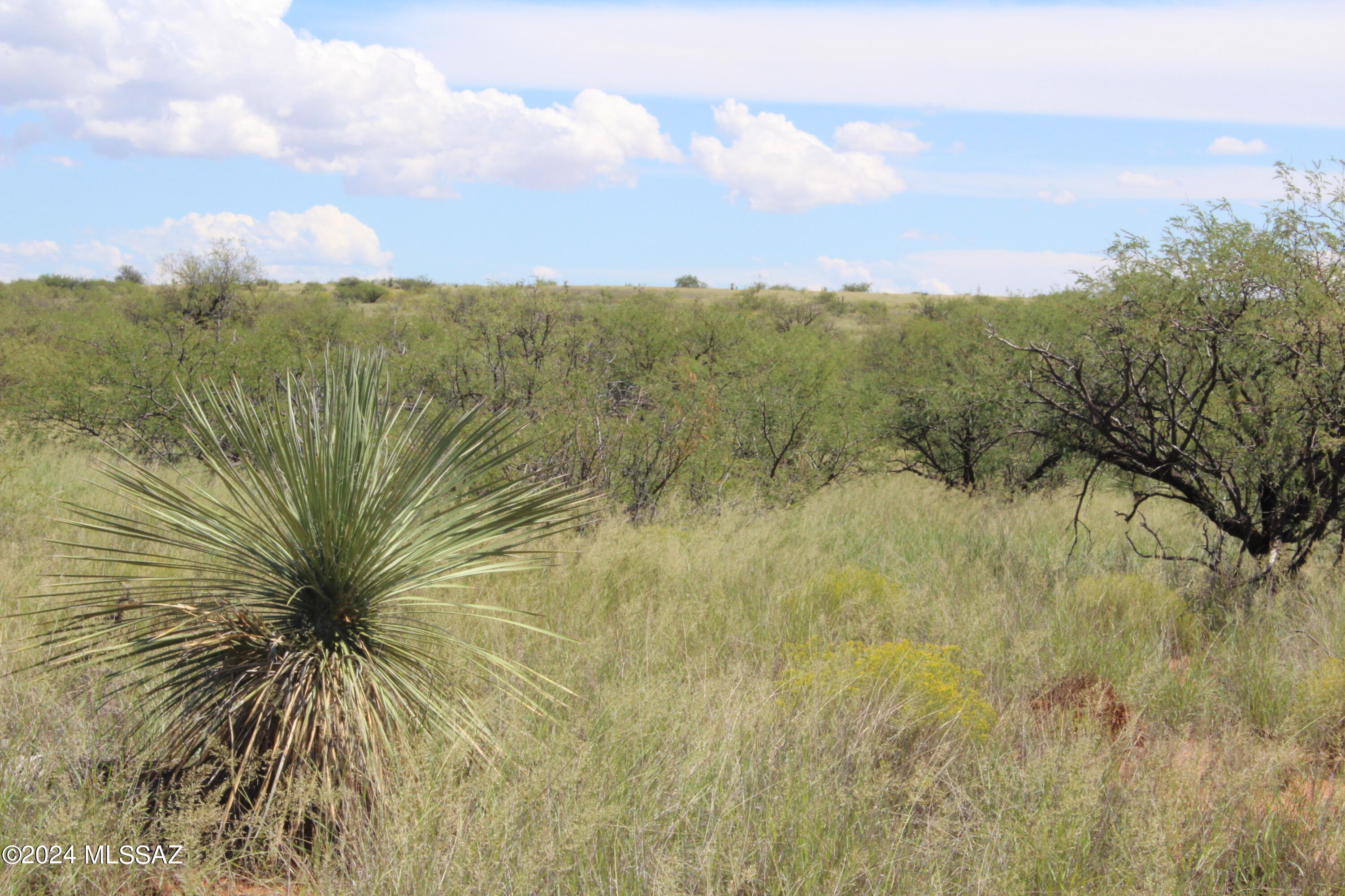 Dragoon Mountain Ranch - Land