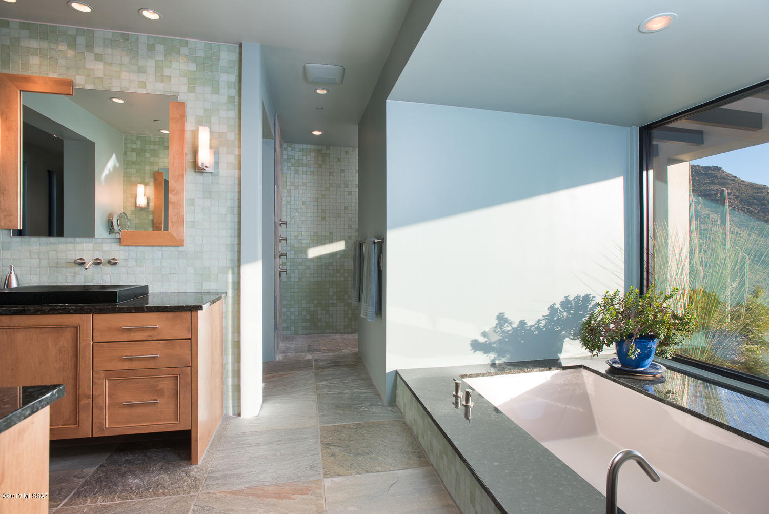 Canyon Pass III At Dove Mountain (111-181) - Residential