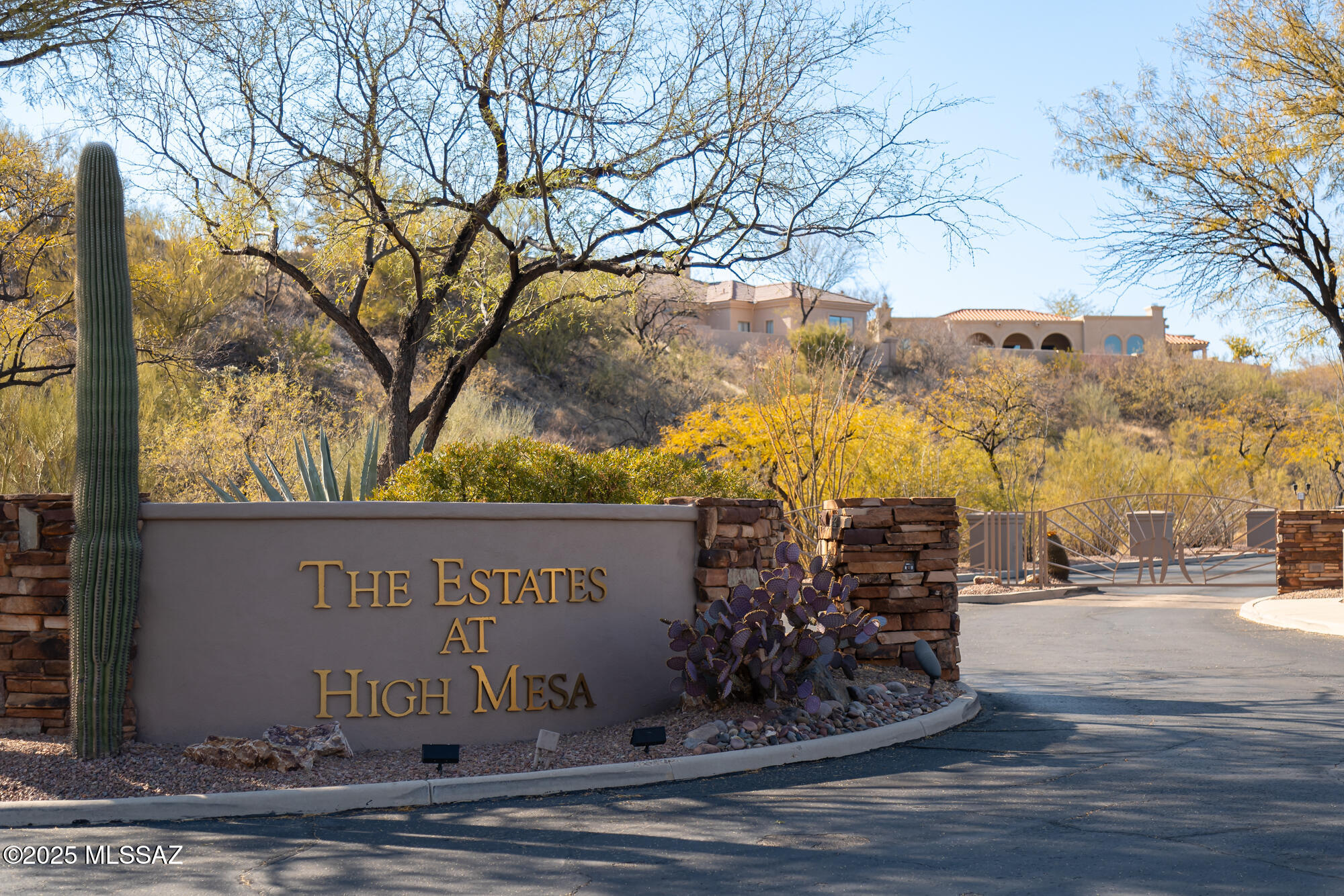 High Mesa (The Estates At) - Residential