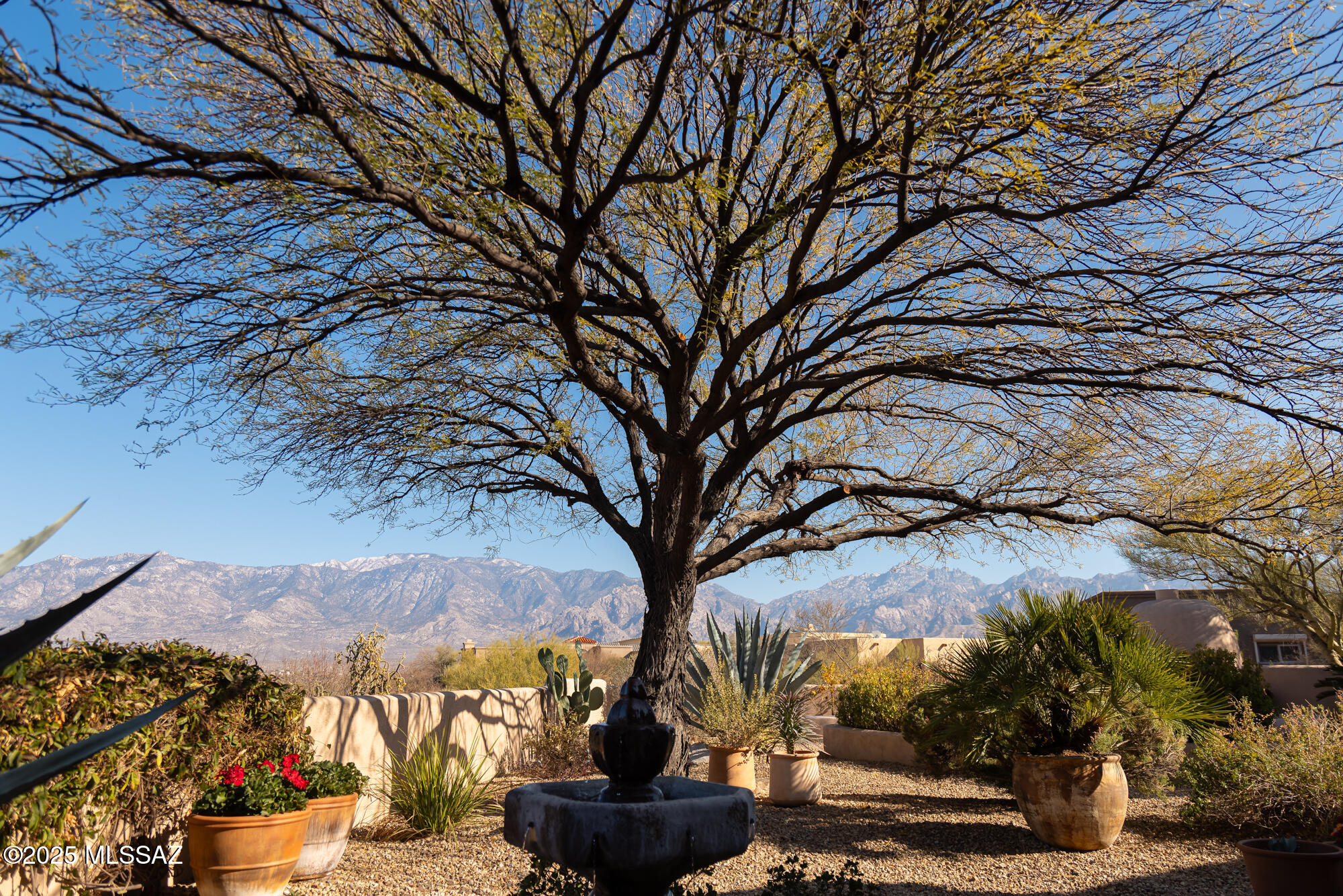 High Mesa (The Estates At) - Residential
