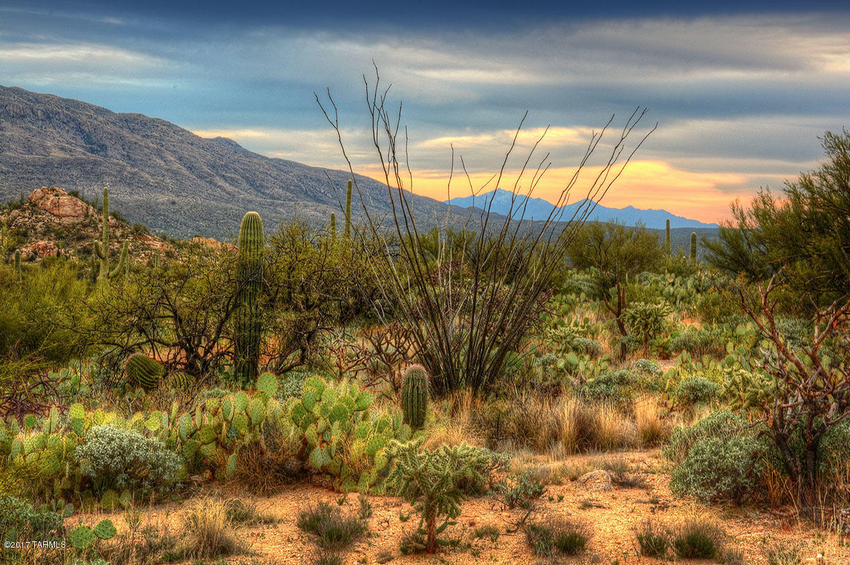 Stunning 10 acre piece in the high Sonoran desert. Many healthy Saguaros, hilly terrain and complete privacy with views of the beautiful Rincon mountains. Enjoy the wildlife, sunsets and stargazing from this property.
Please call listing agents for more information and directions.