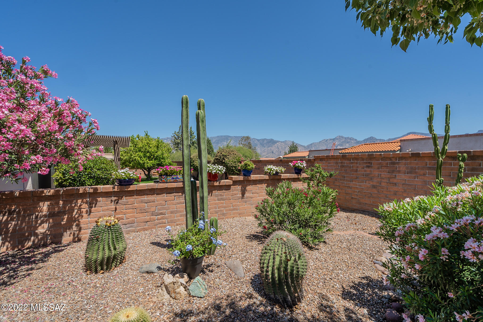 You won't want to miss out on this special Silvercreek model home in the highly desirable community of Sun City Oro Valley. With two bedrooms, two bathrooms and 1,524 square feet of livable space, you will be impressed with all this home has to offer. Pride of ownership is showcased throughout, with a living room featuring a gas fireplace, plantation shutters and sliding glass door to the extended back patio and private yard. Lovely chefs' kitchen and family room combination has eat-in breakfast nook and bay window with mountain views. Enjoy the spacious owner's suite showcasing a bay window, walk-in closet and en-suite bath with a dual vanity and walk-in shower. There is a separate office/flex room off of the kitchen. All windows have been replaced. Outdoor living and entertaining is easy in the large backyard with extended paver patio showcasing wonderful Catalina Mountain views! All windows replaced, roof replaced '15, HVAC '18, Water heater '19. Welcome home!