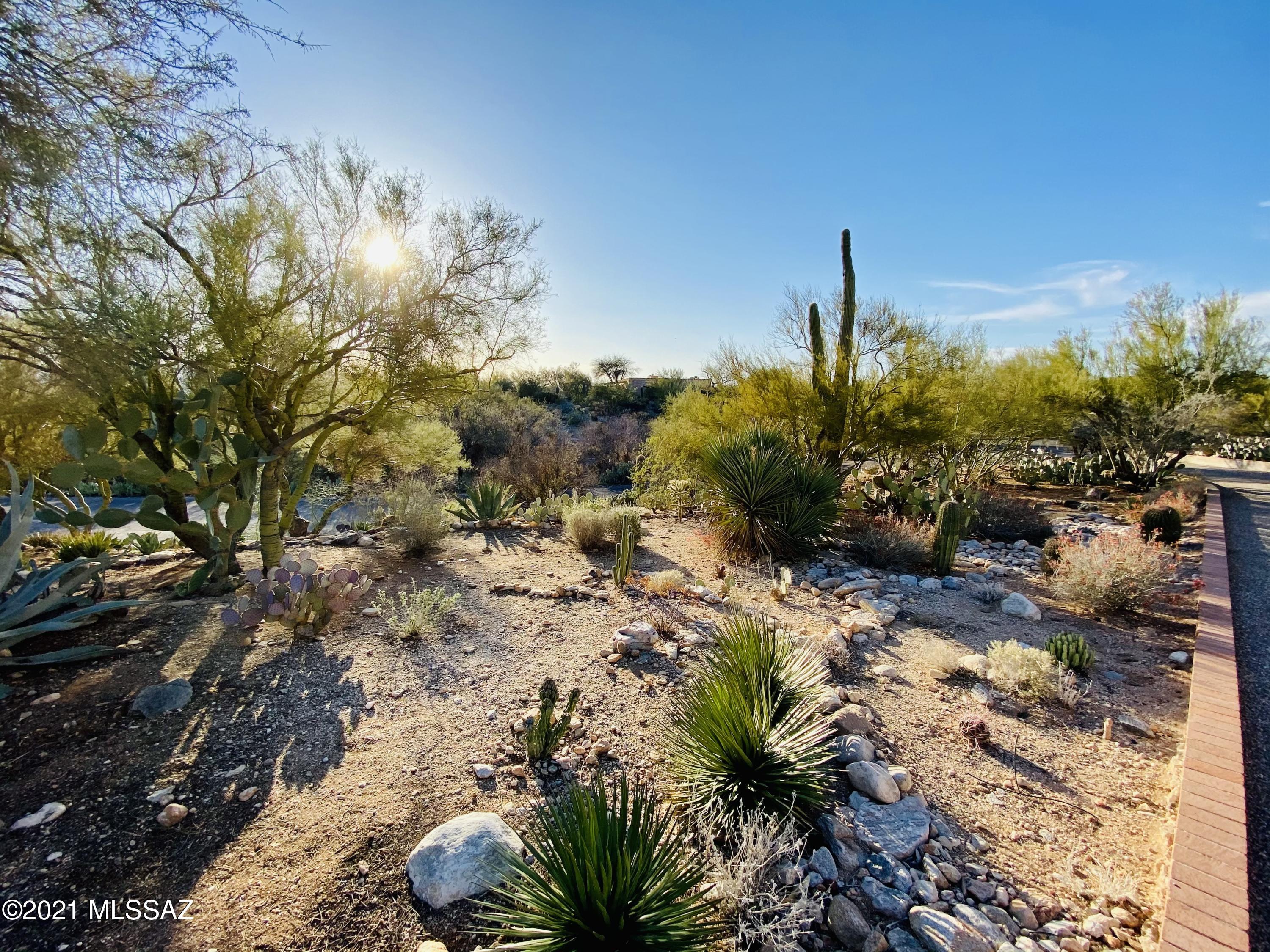 Catalina Foothills Estates NO. 7 - Residential