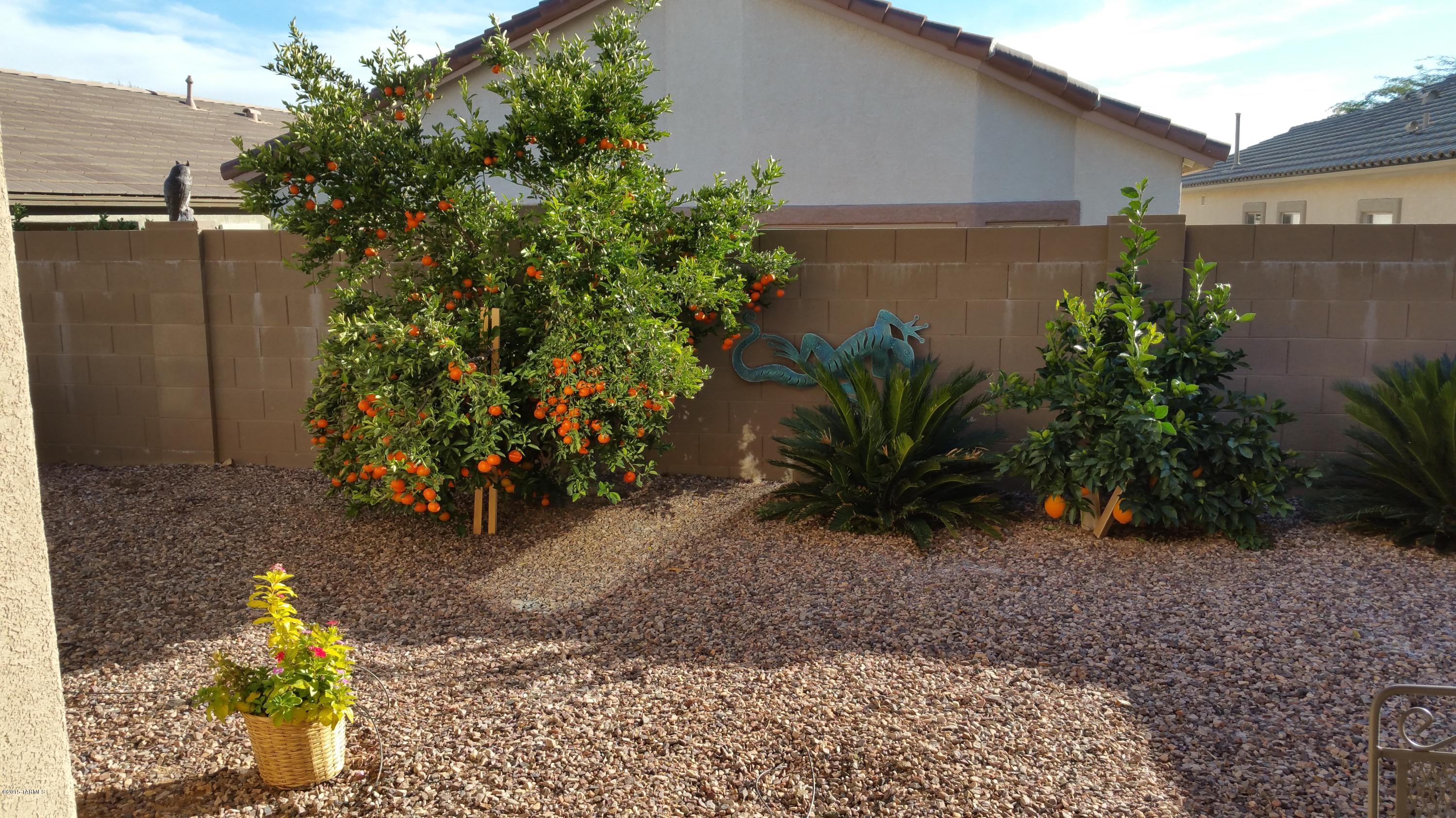 Sonora At Rancho Sahuarita (1-243) - Residential