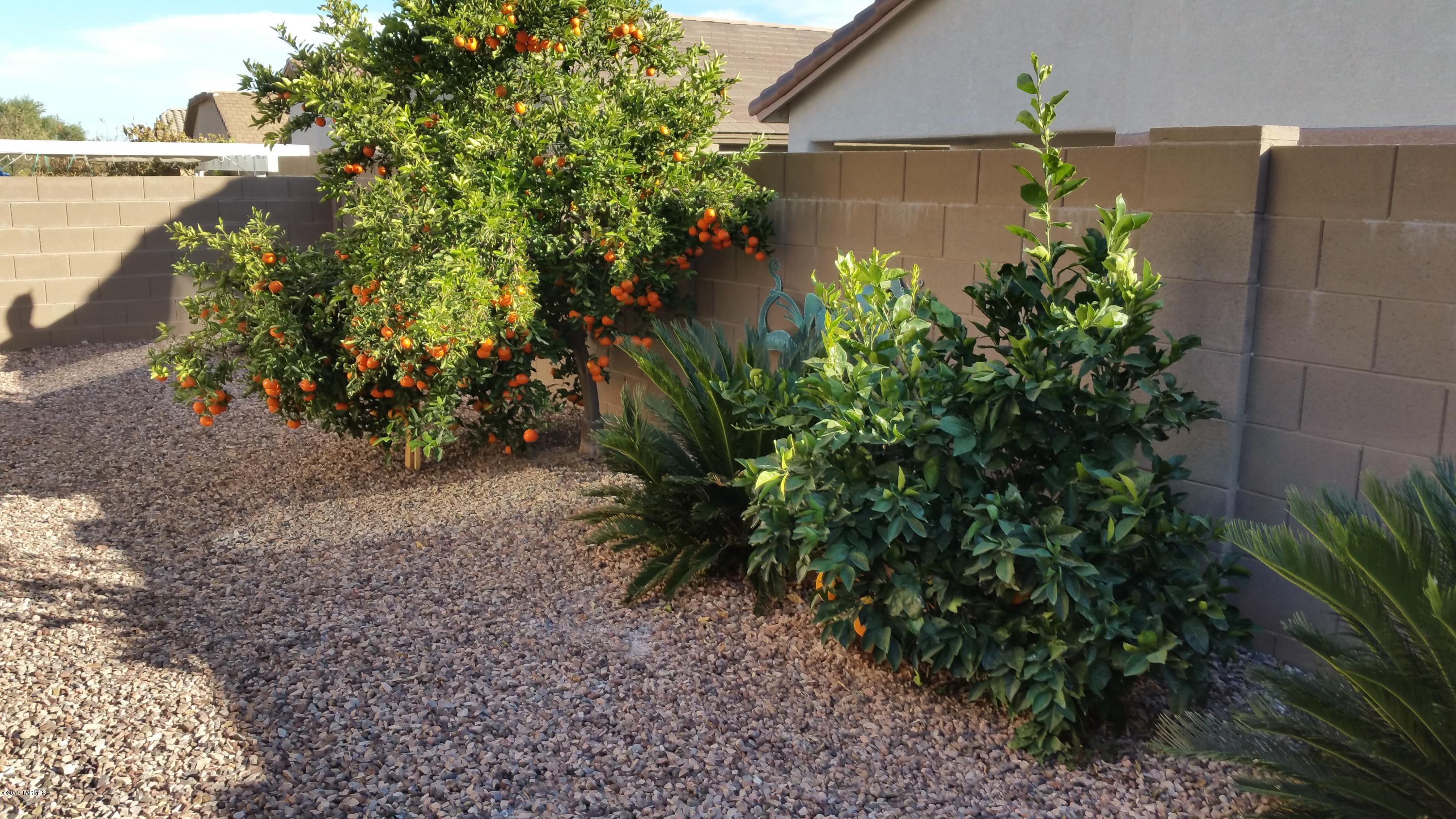 Sonora At Rancho Sahuarita (1-243) - Residential