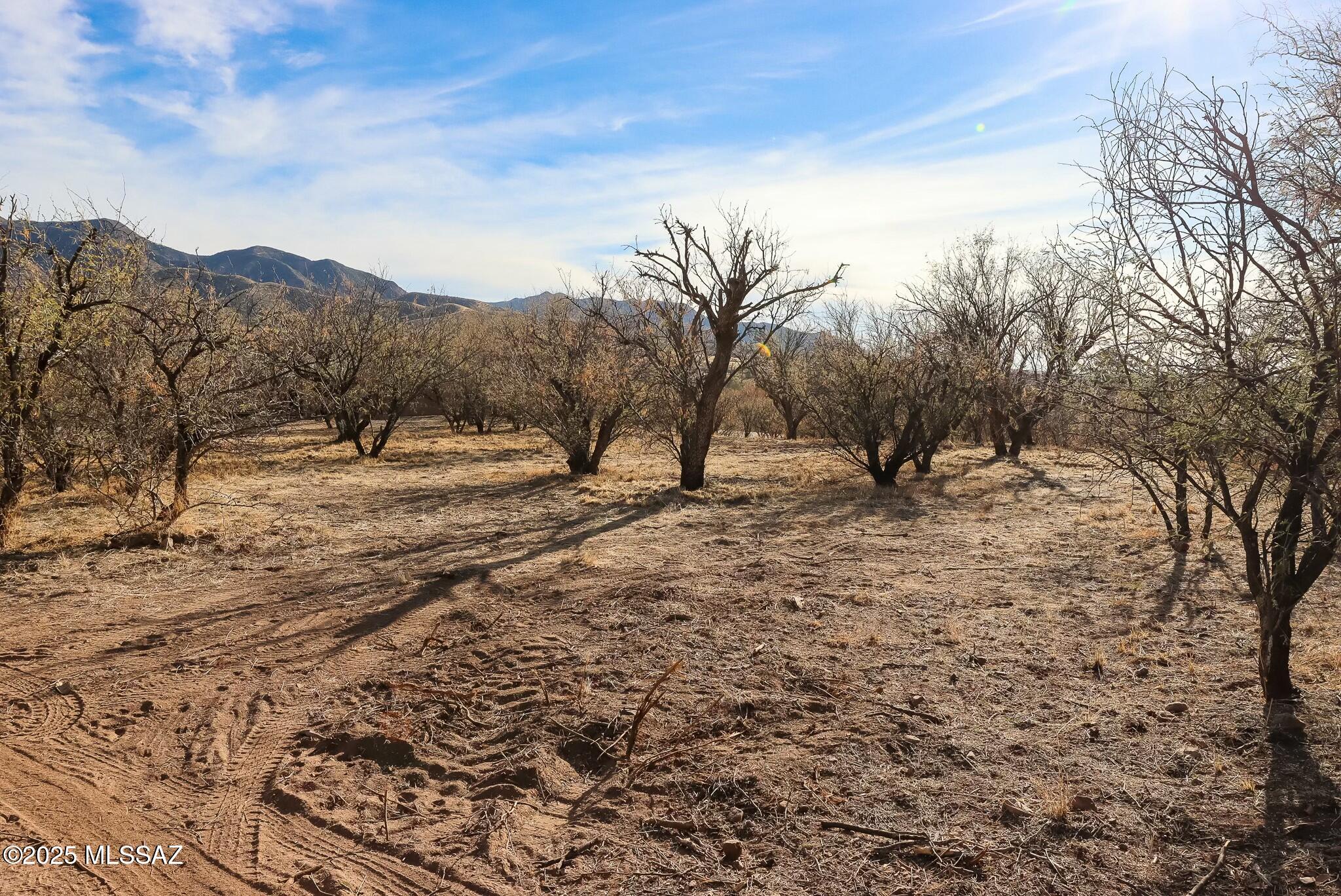 This spacious, dividable lot in Patagonia offers the perfect balance of privacy and convenience. With mature mesquites dotting the landscape and stunning views all around, you'll have a peaceful retreat just minutes from the heart of town. Plus, being out of the floodplain gives added peace of mind. The property comes with the modern amenities of underground electricity and city water, making it ideal for building your dream home. Don't miss the opportunity to enjoy a secluded setting with the charm of small-town living, all within walking distance of local shops and restaurants.