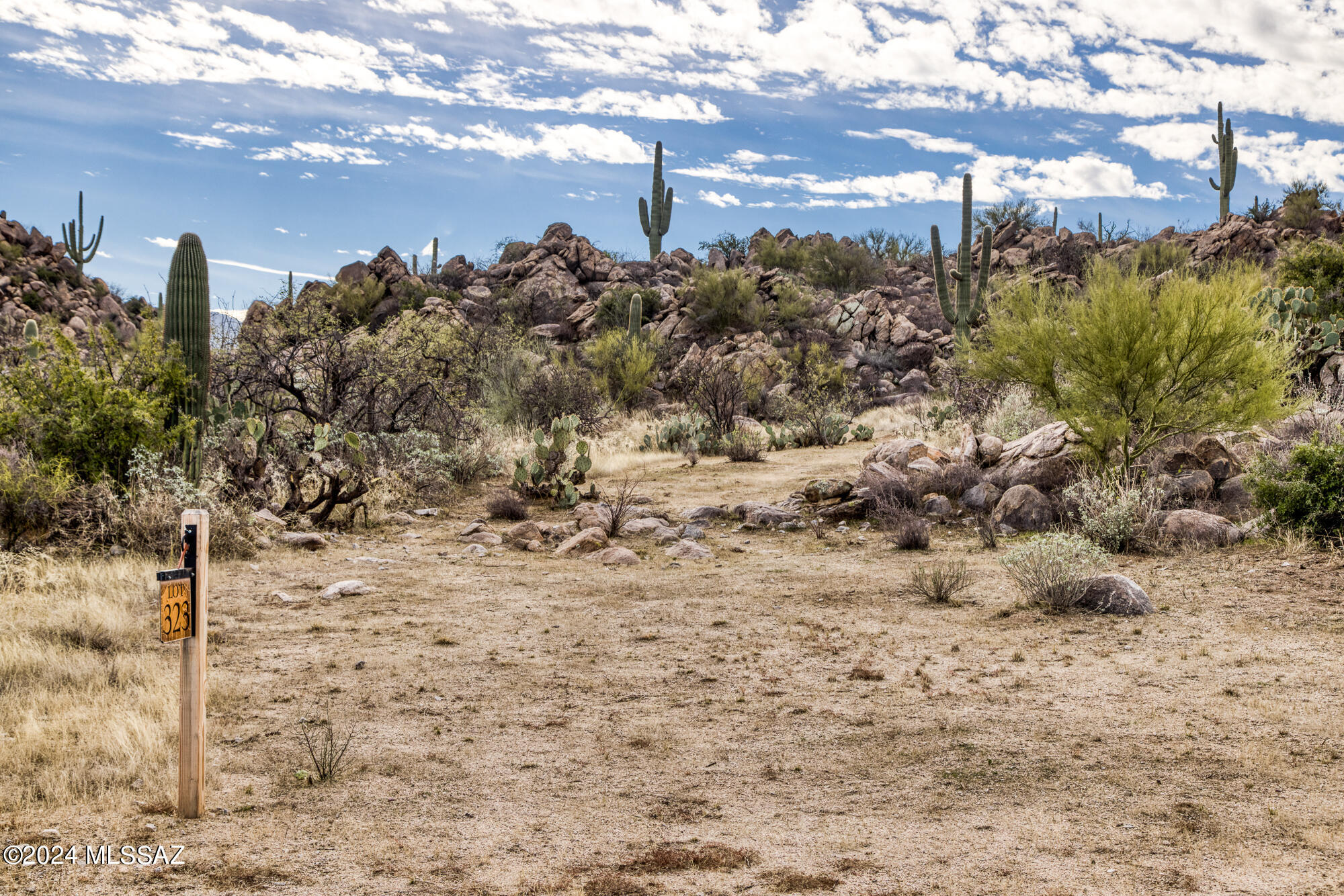 Stone Canyon IV - Land