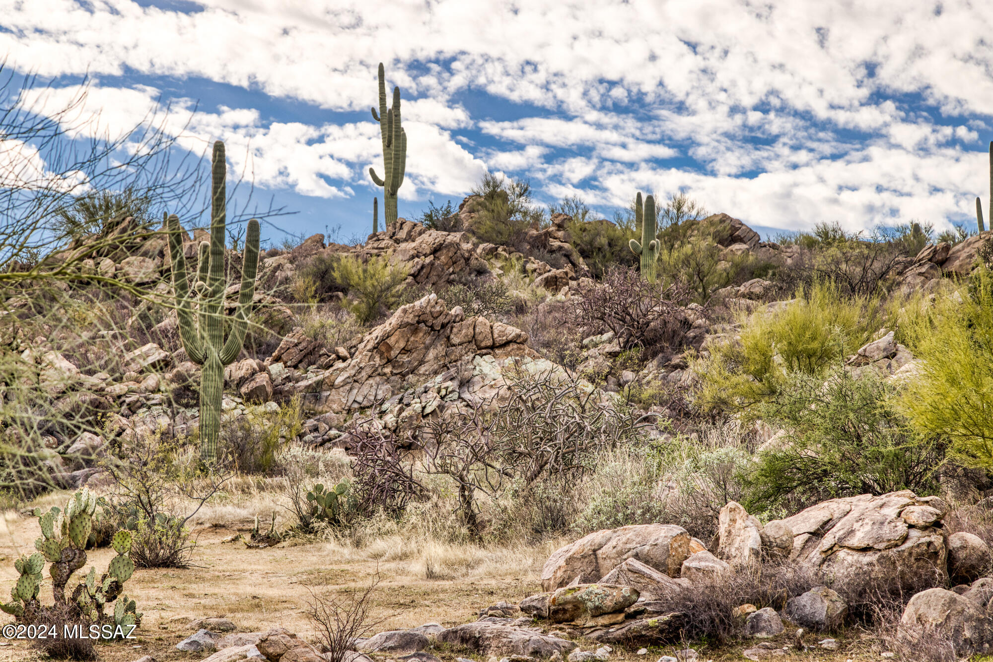 Stone Canyon IV - Land