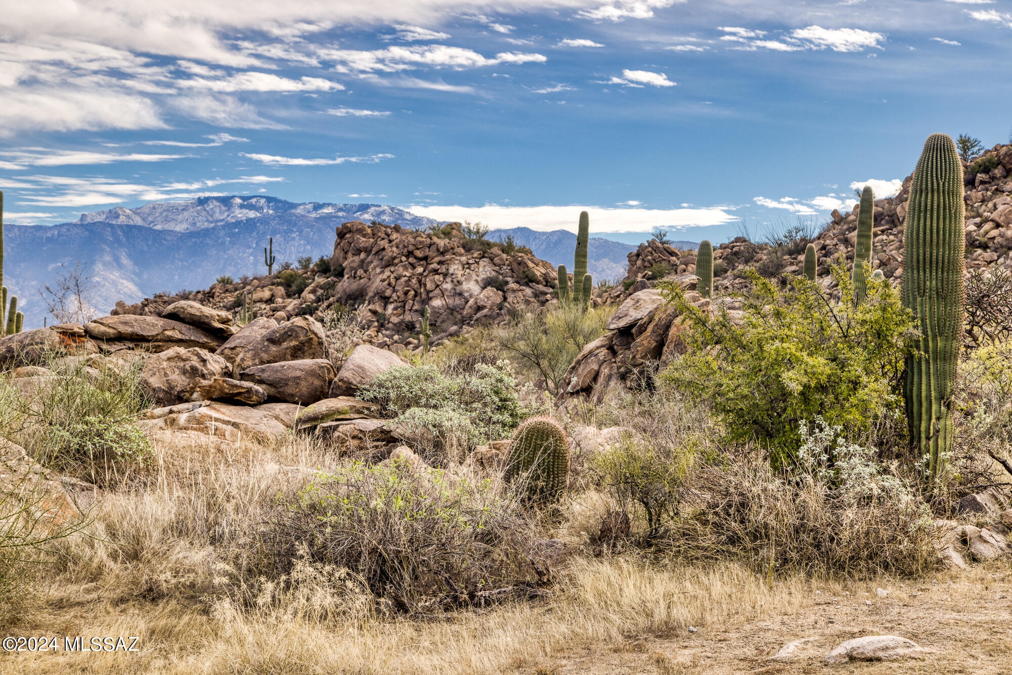 Stone Canyon IV - Land